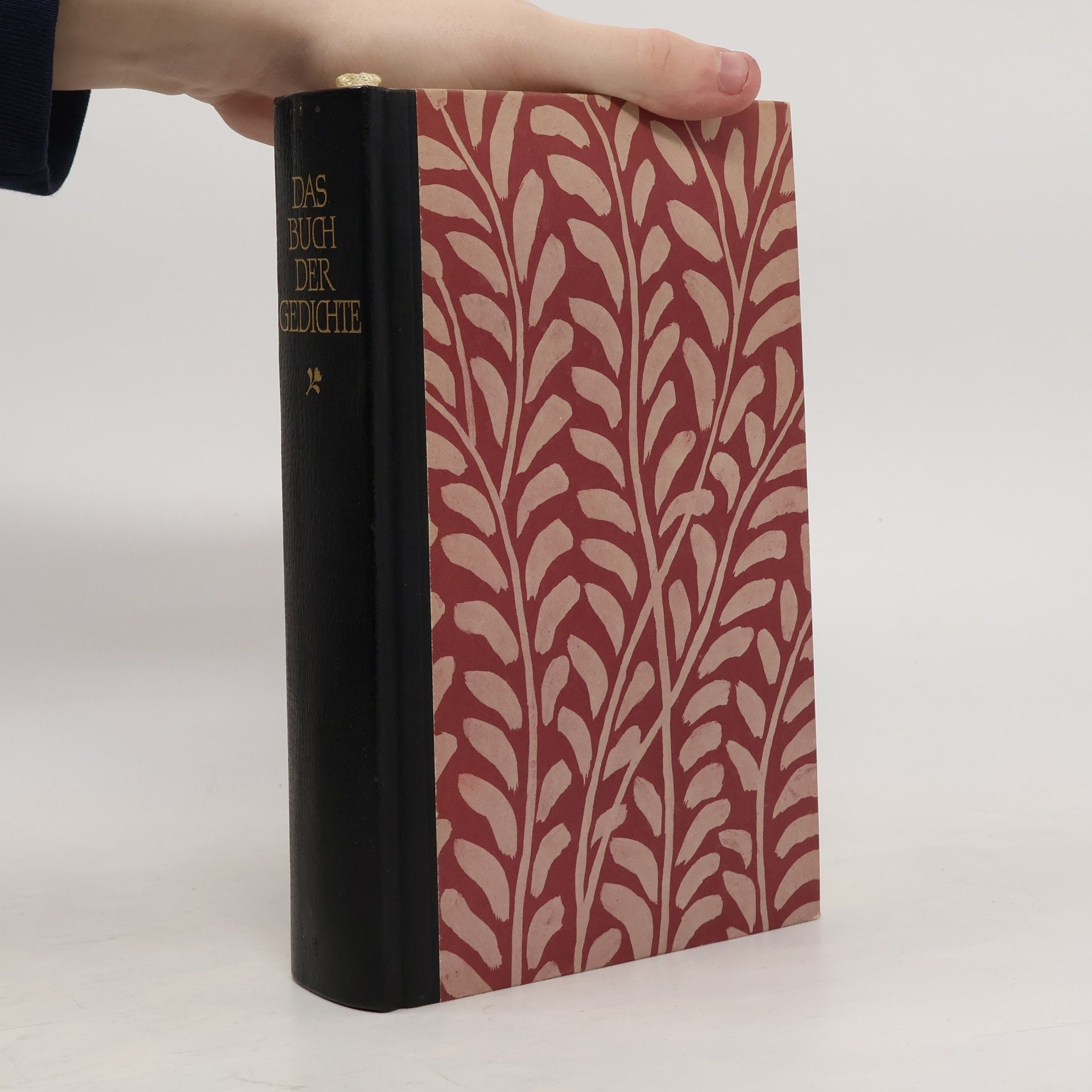 Marianne Hochhuth Das Buch der Gedichte