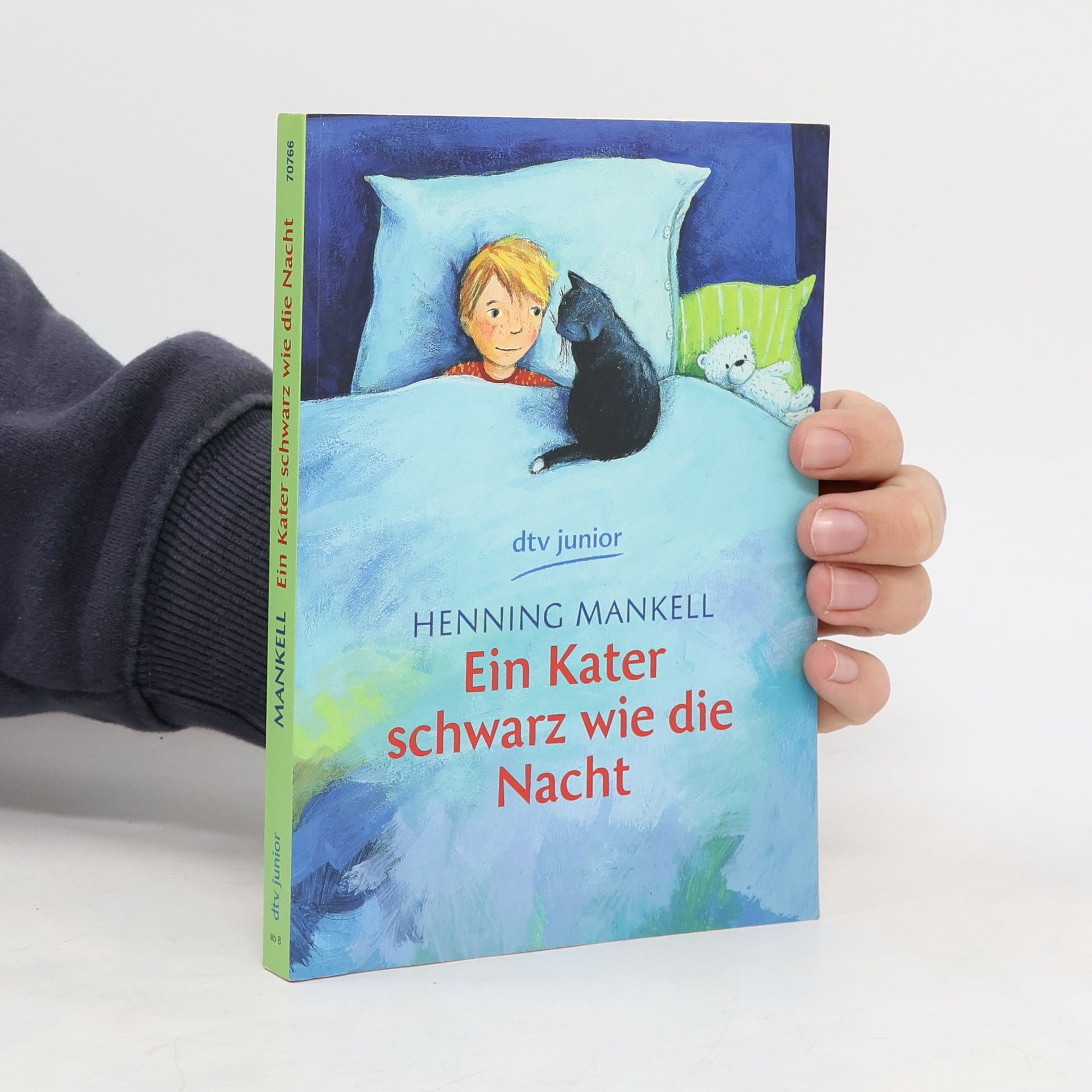 Henning Mankell Ein Kater schwarz wie die Nacht