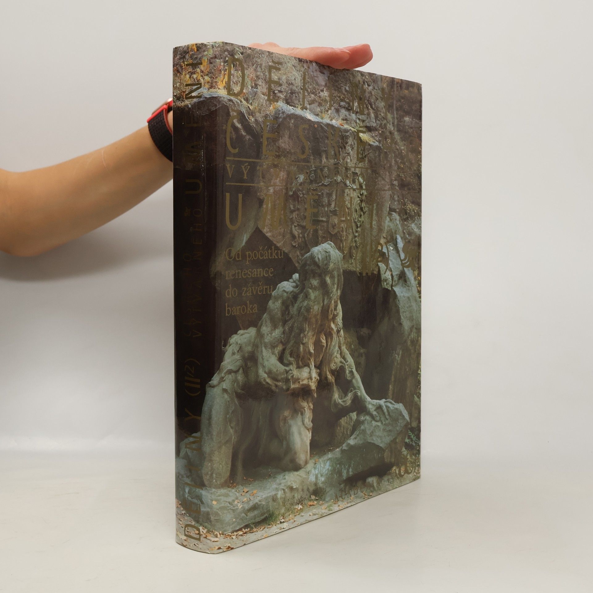 Dějiny českého výtvarného umění II/2