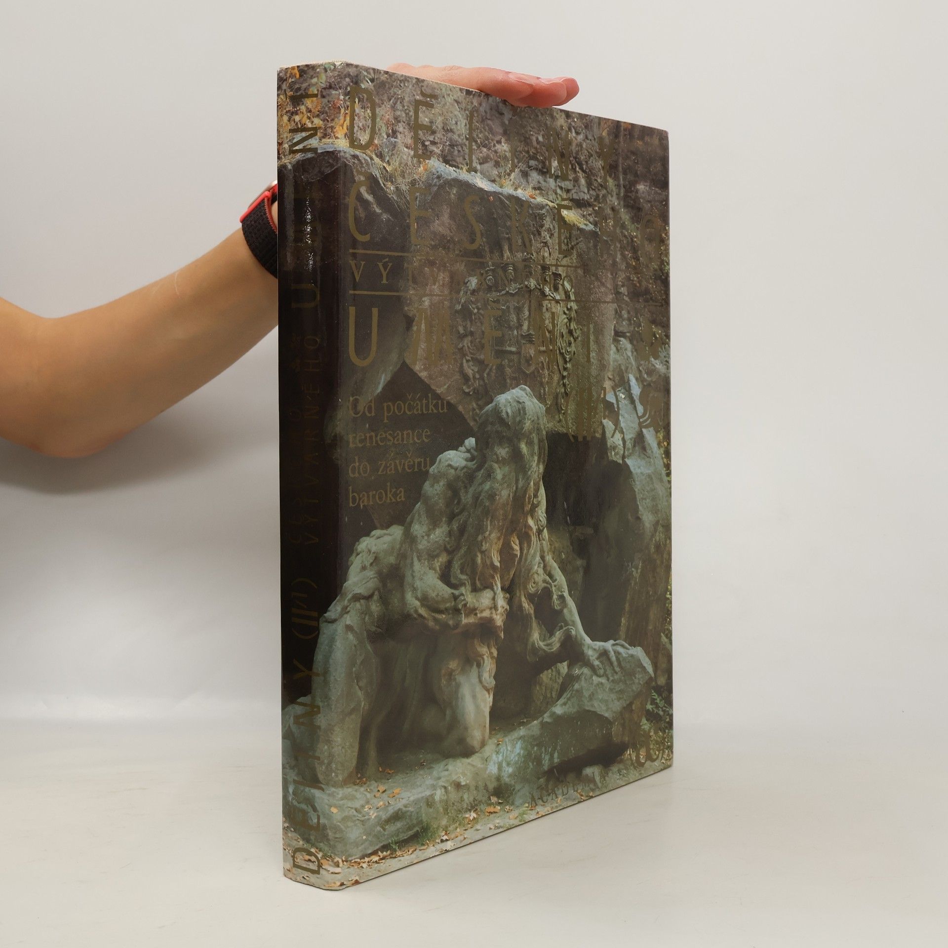 Auteurscollectief Dějiny českého výtvarného umění II/1