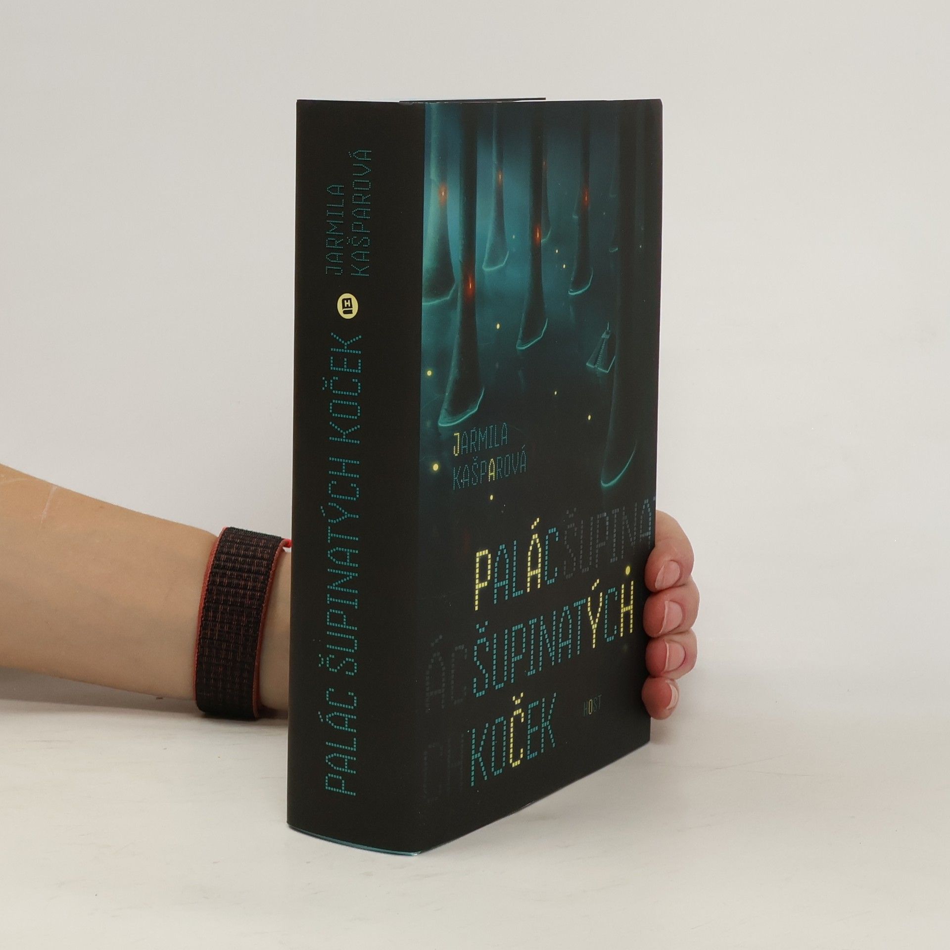 Jarmila Kašparová Palác šupinatých koček