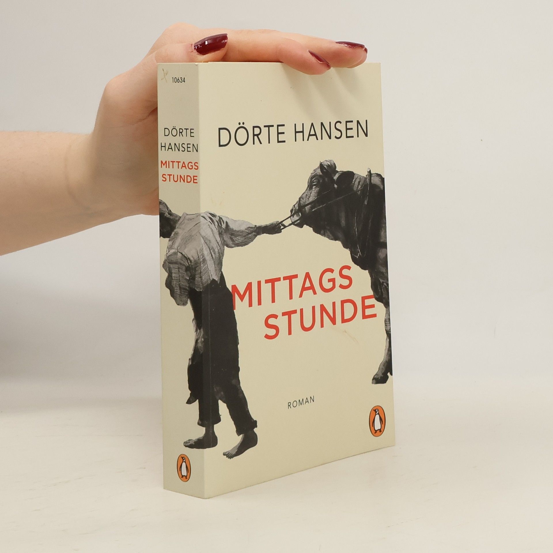 Dörte Hansen Mittagsstunde