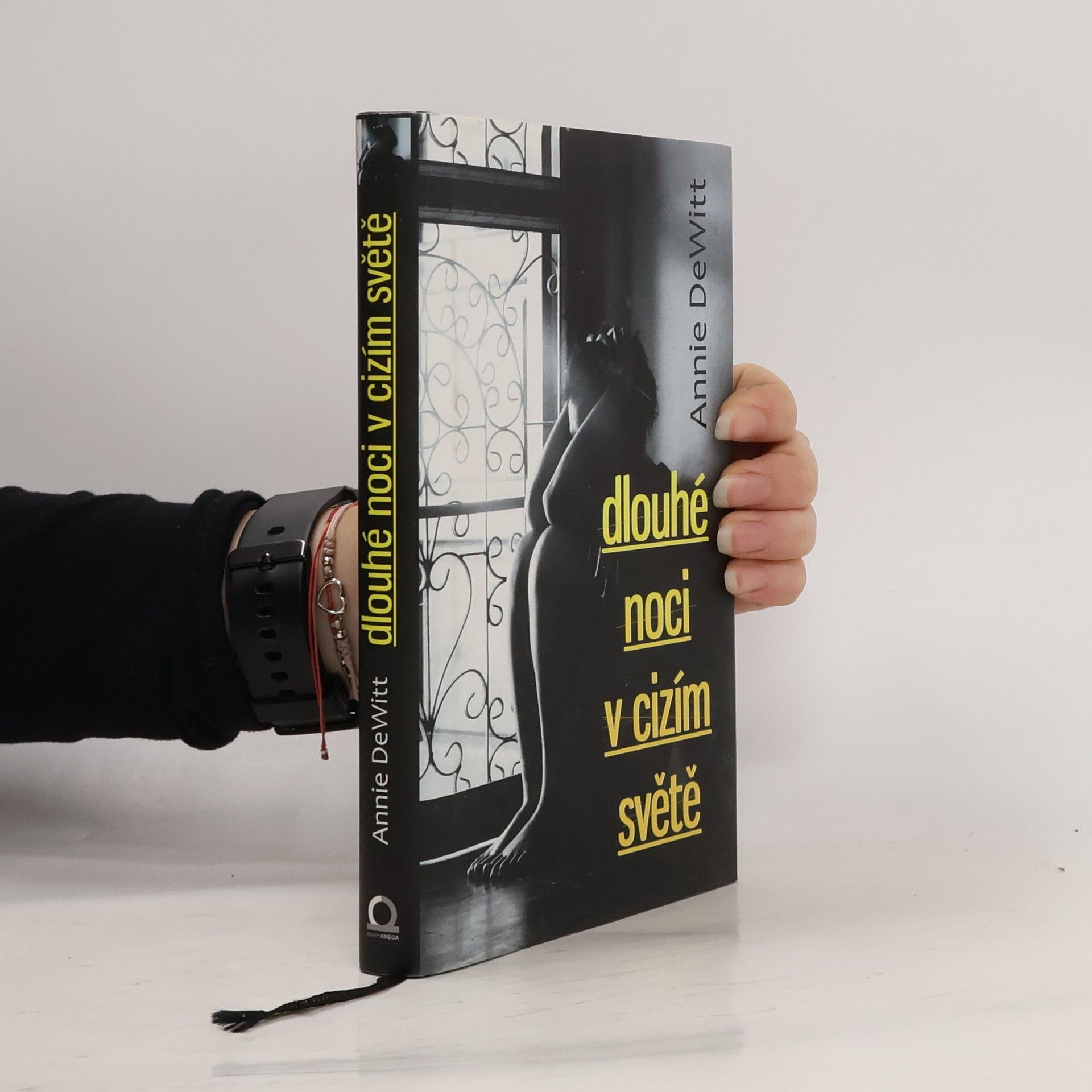 Annie DeWitt Dlouhé noci v cizím světě