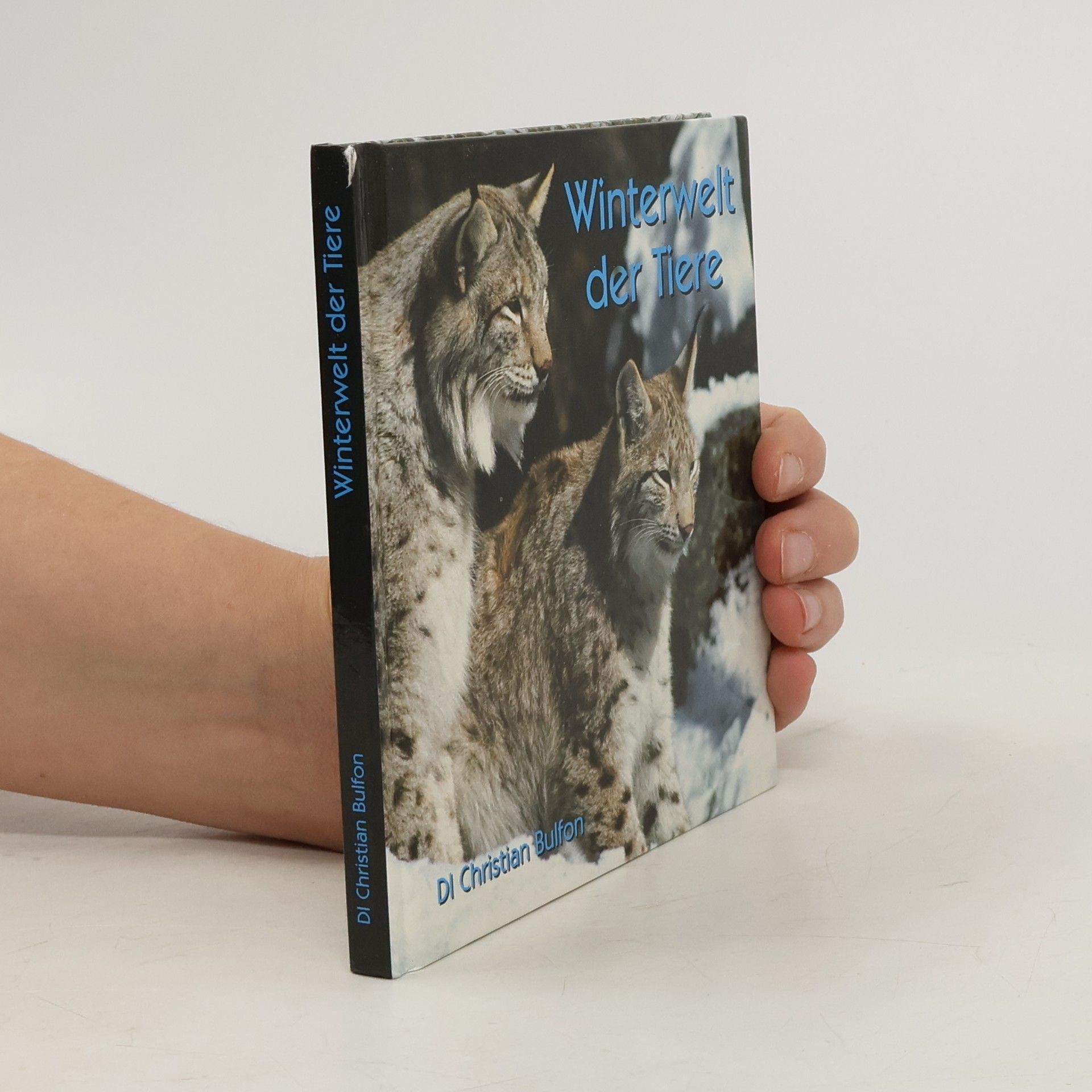 Winterwelt der Tiere