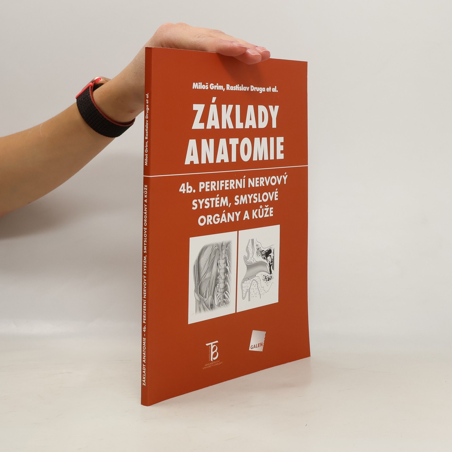 Základy anatomie. 4b., Periferní nervový systém, smyslové orgány a kůže