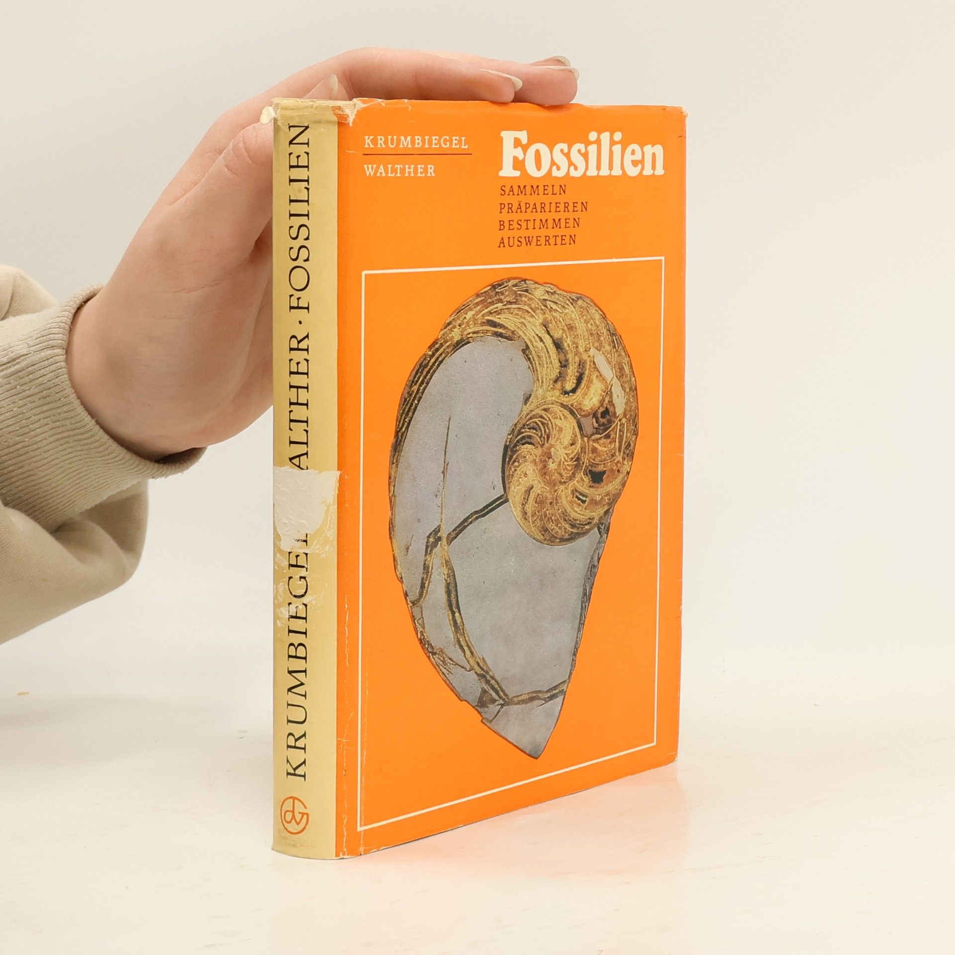Harald Walther Fossilien