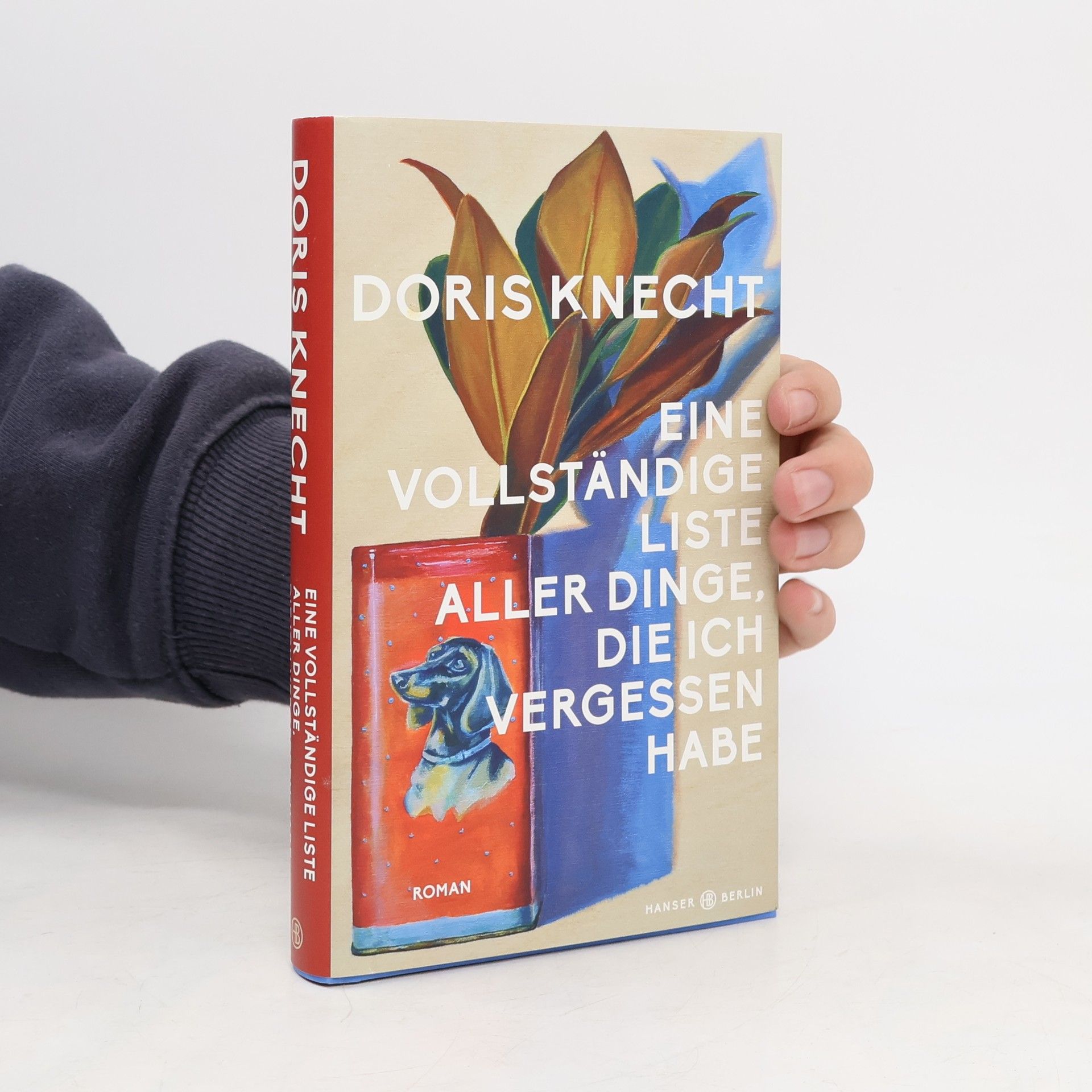 Doris Knecht Eine vollständige Liste aller Dinge, die ich vergessen habe