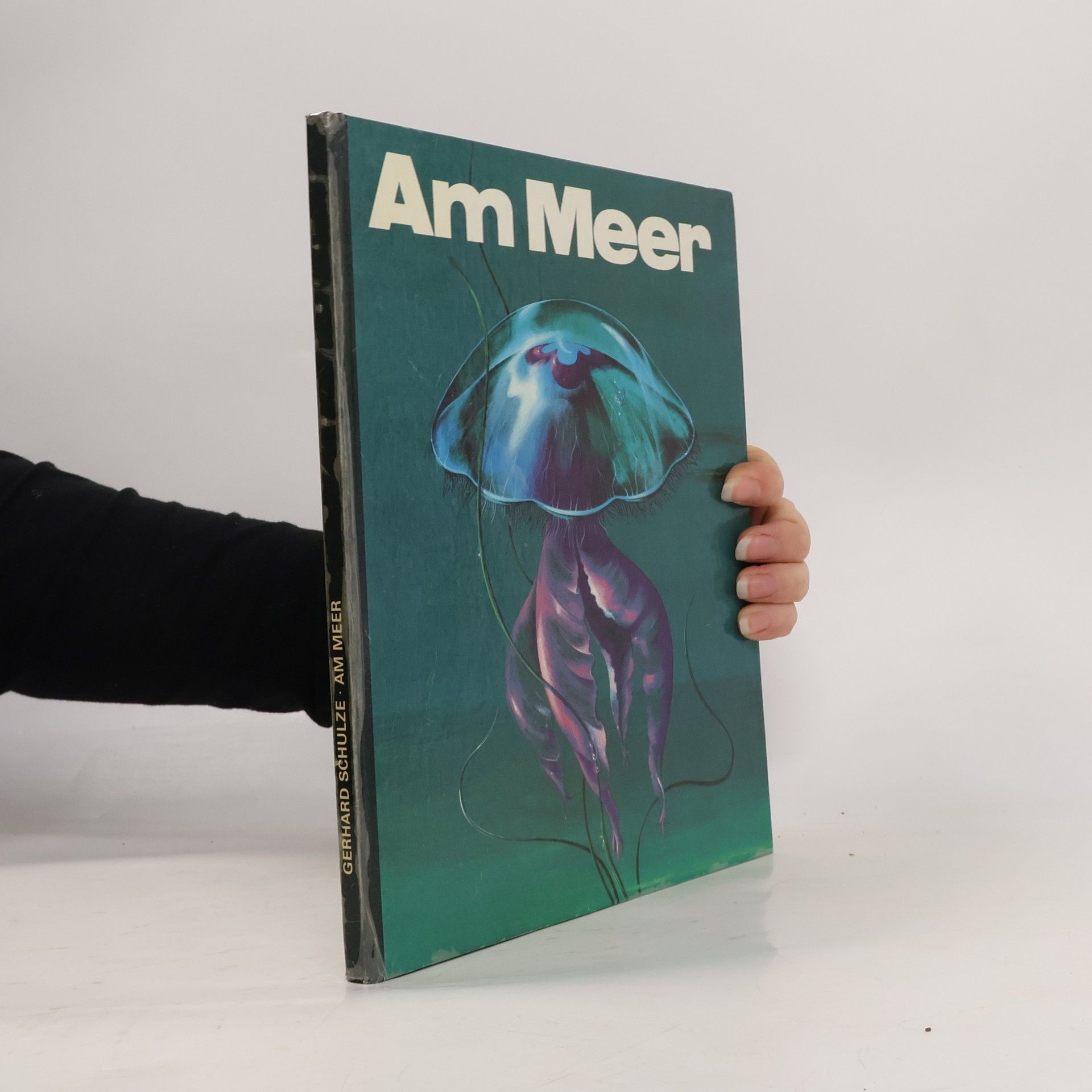 Gerhald Schulze Am Meer