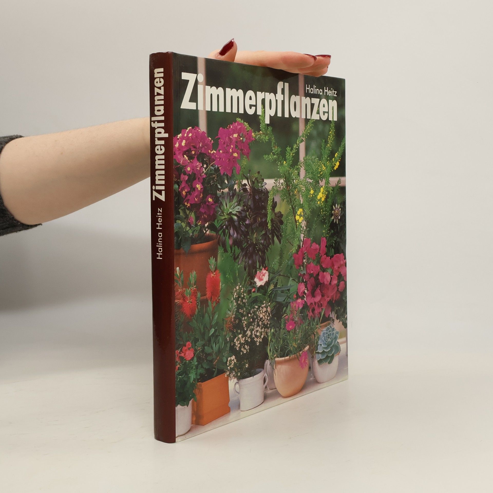 Zimmerpflanzen
