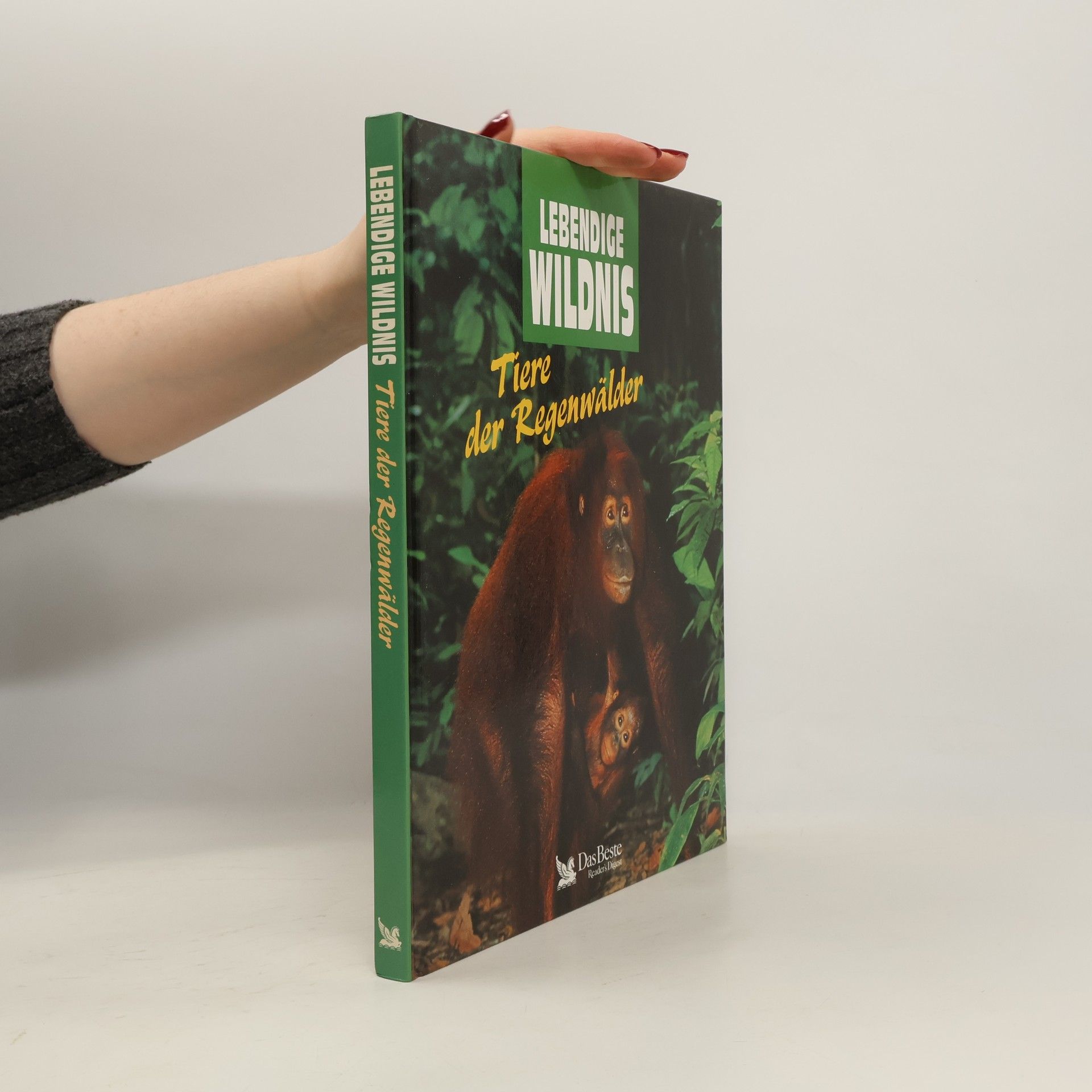 Tiere der Regenwälder