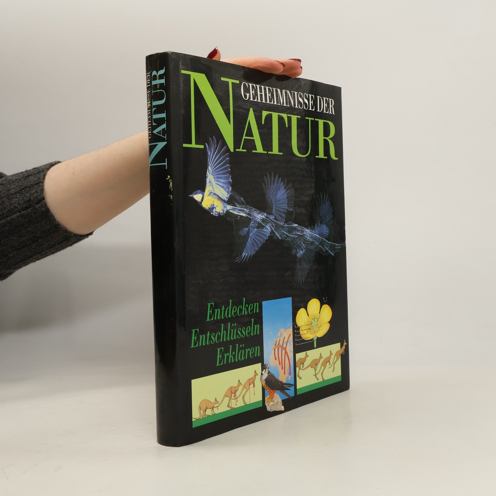 Autorenkollektiv Geheimnisse der Natur