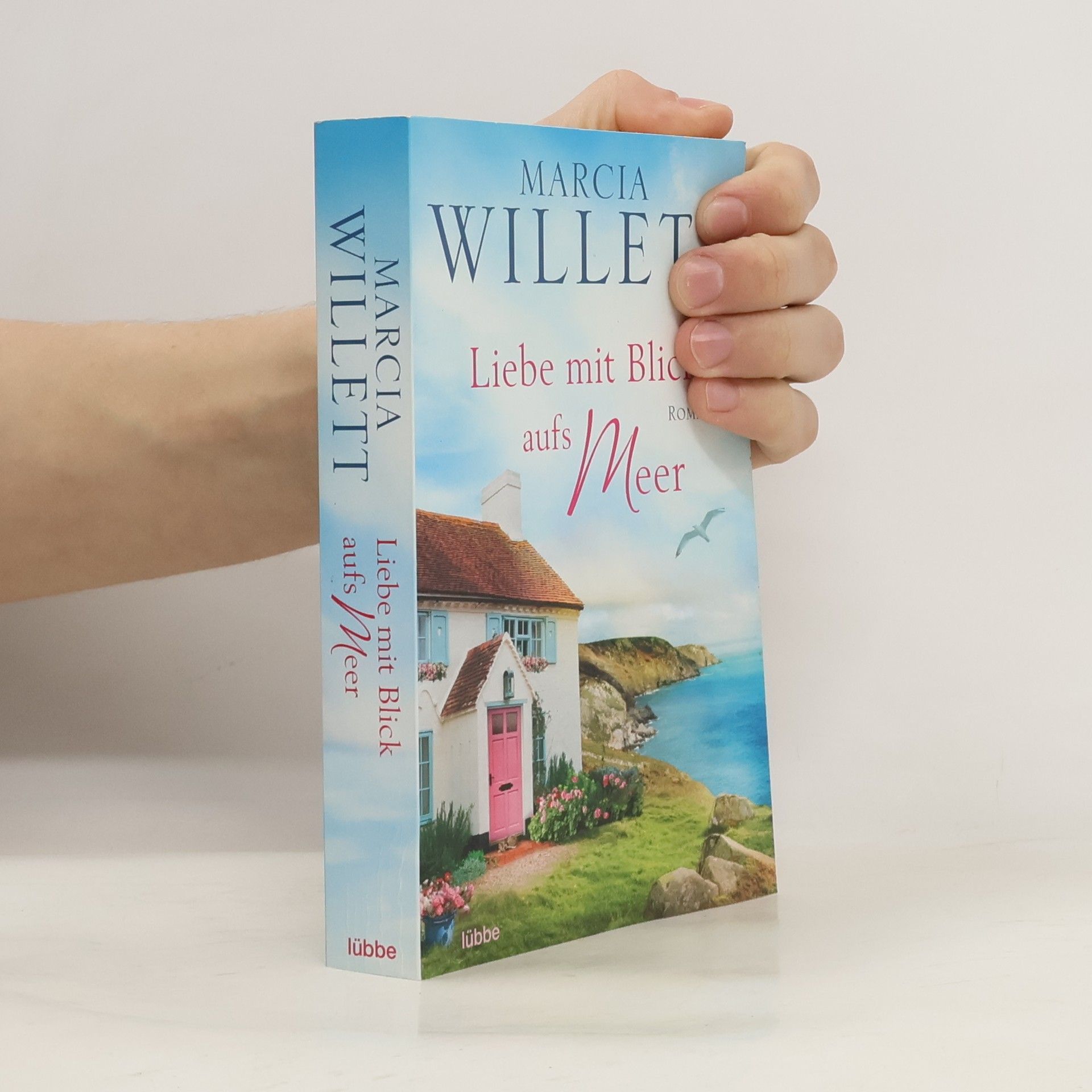 Marcia Willett Liebe mit Blick aufs Meer