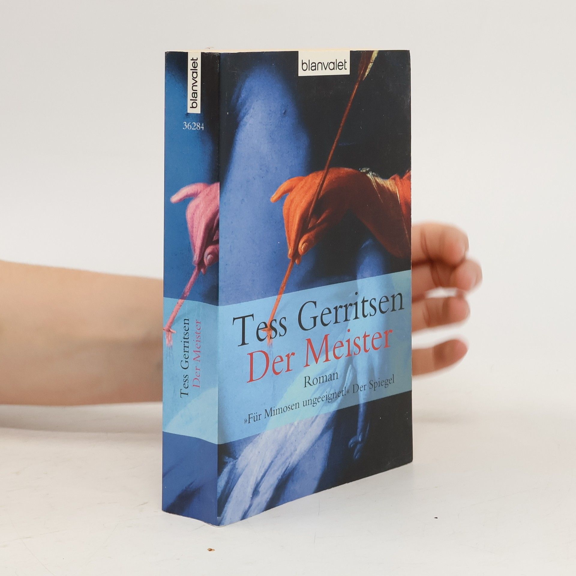 Tess Gerritsen Der Meister