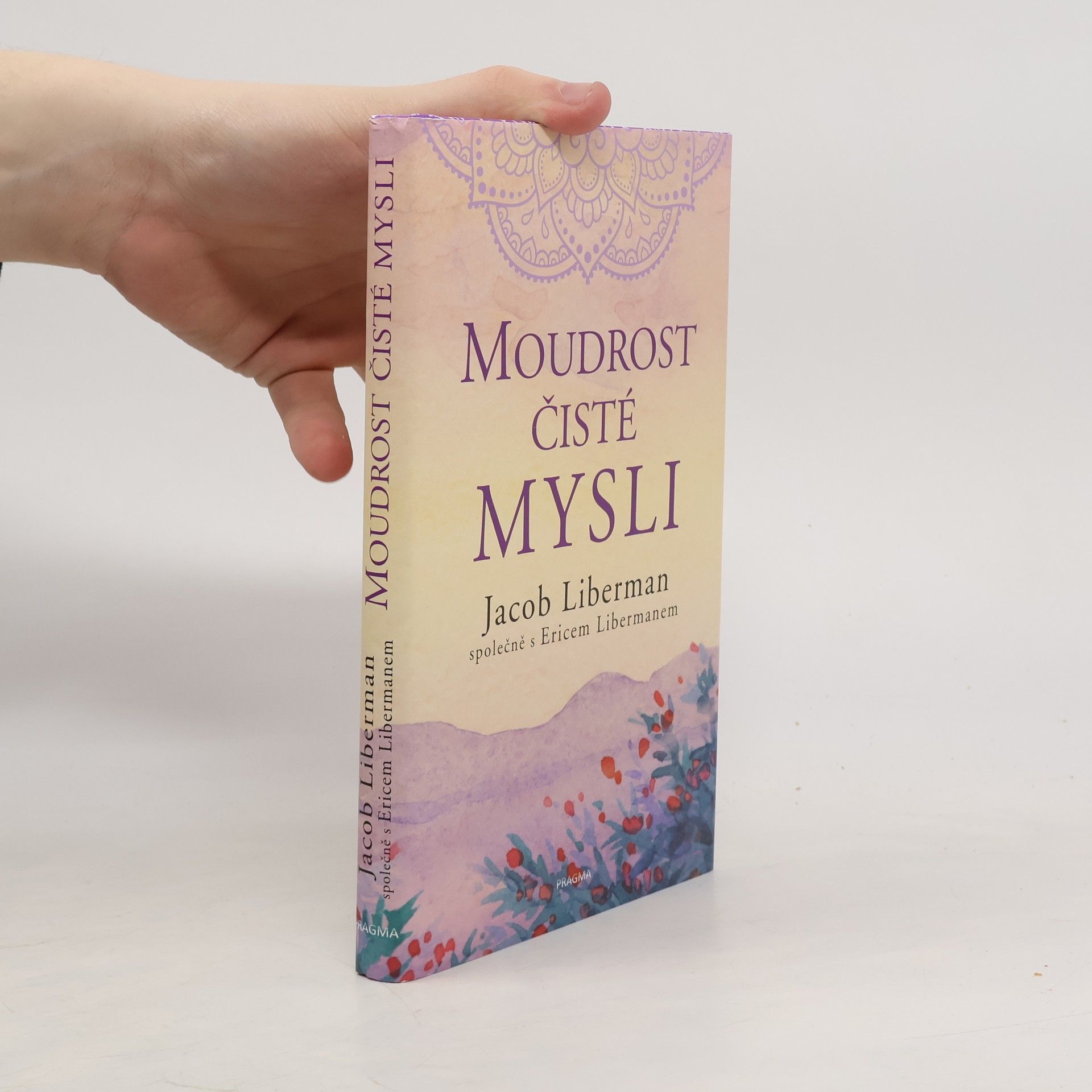 Moudrost čisté mysli