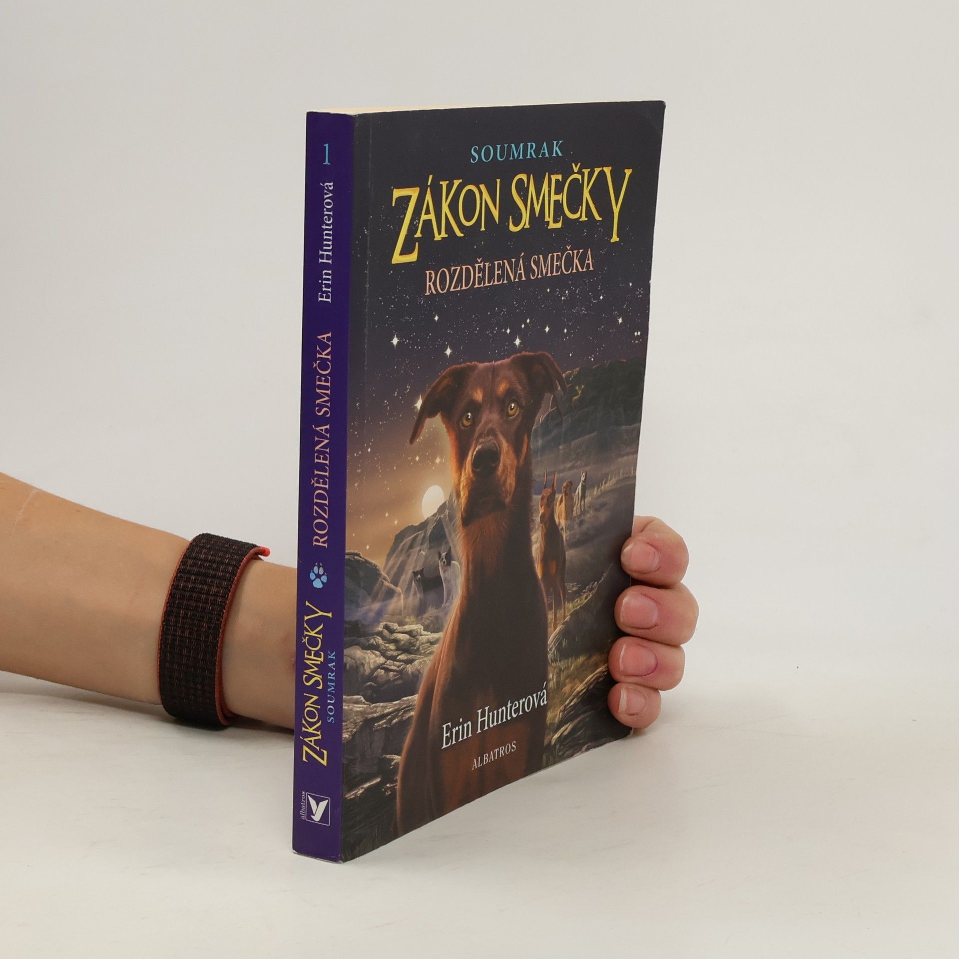 Erin Hunter Rozdělená smečka