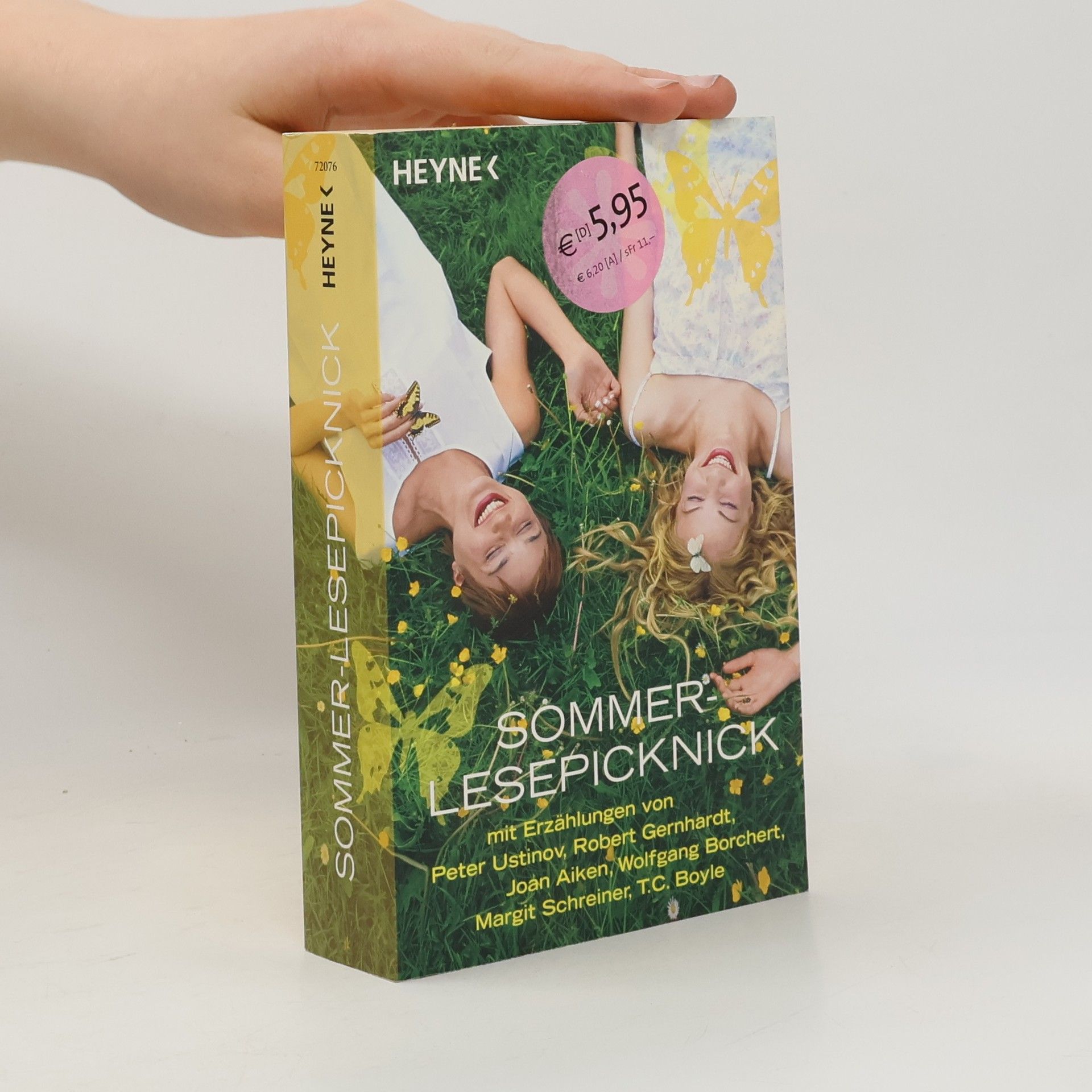 Sommer - Lesepicknick