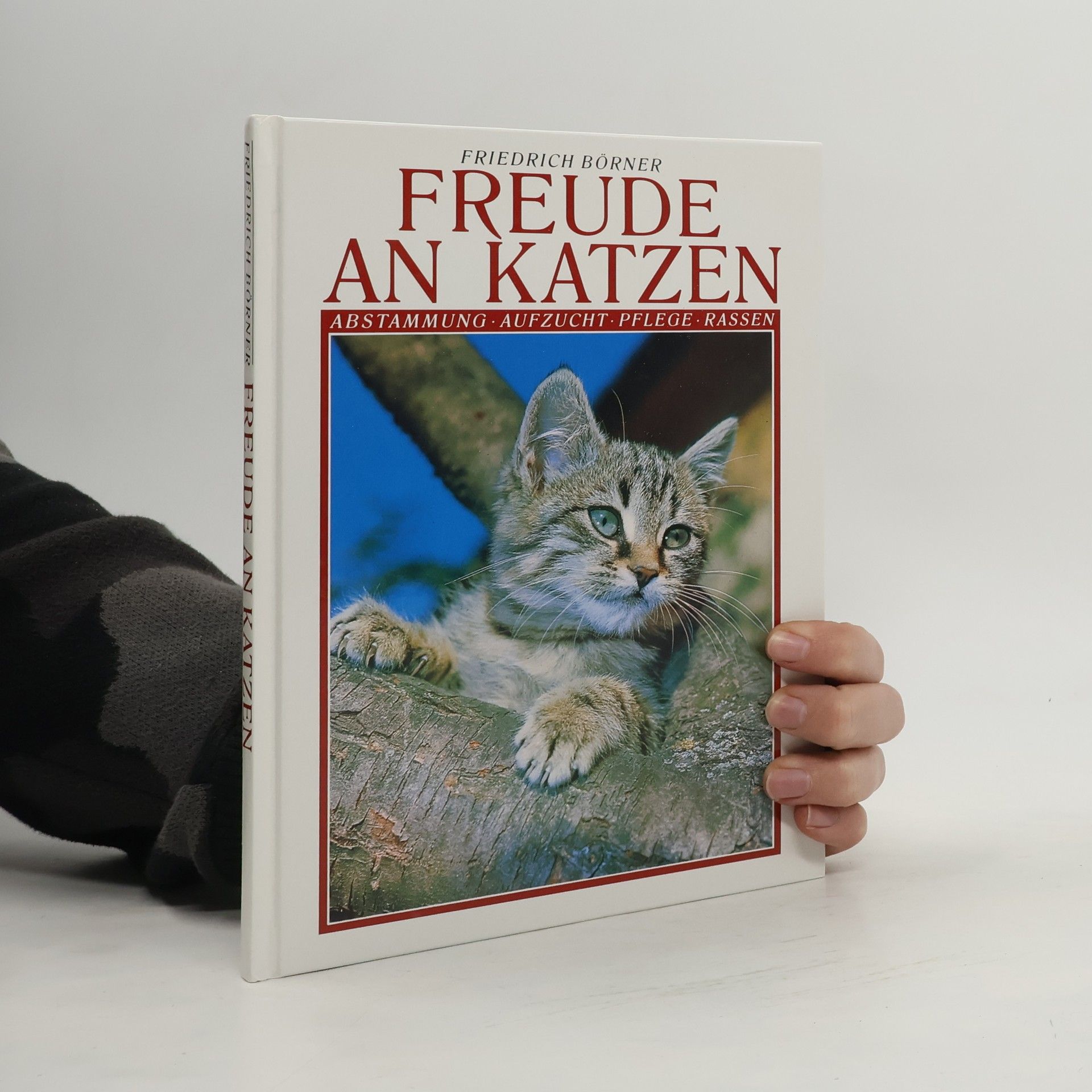 Freude an Katzen