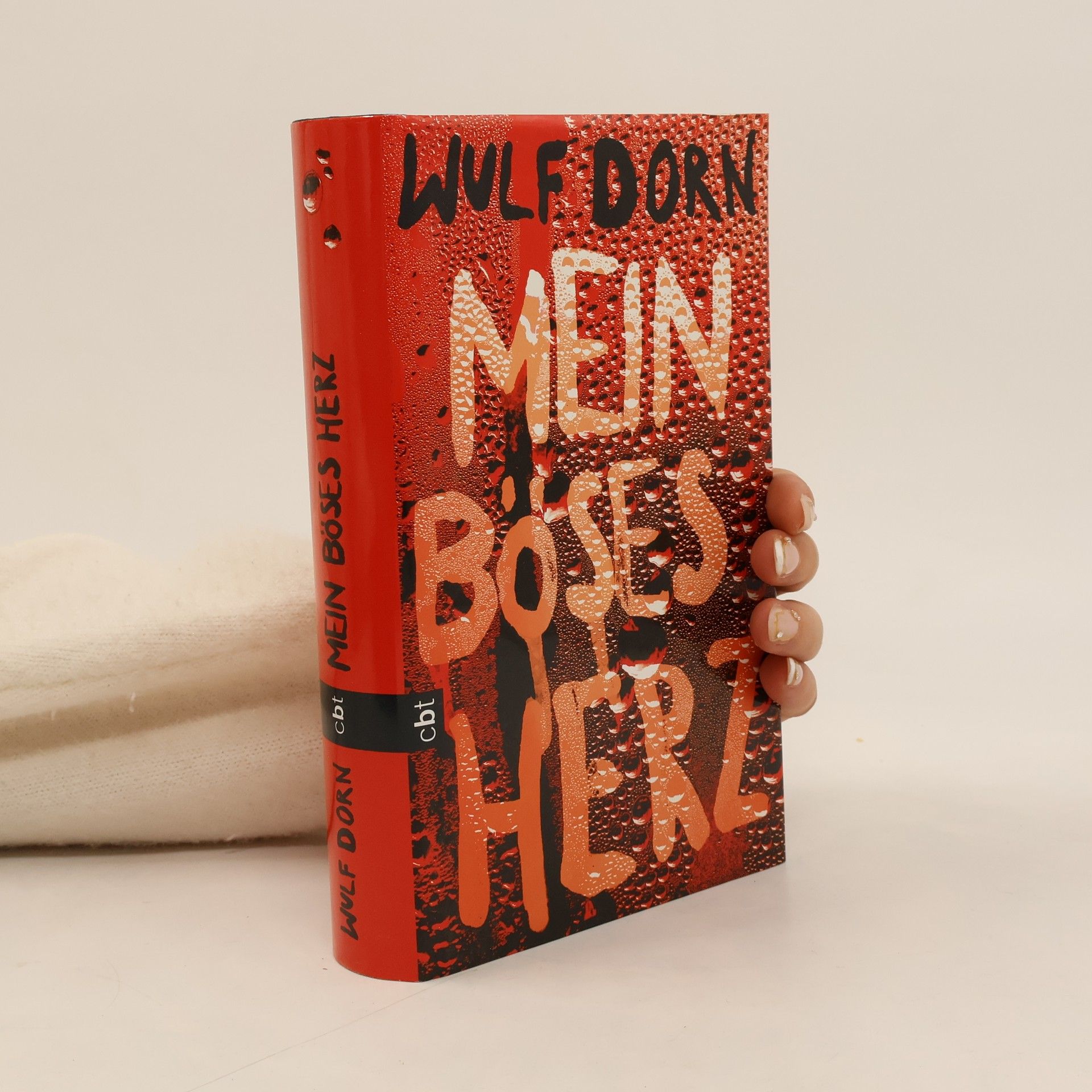 Wulf Dorn Mein böses Herz