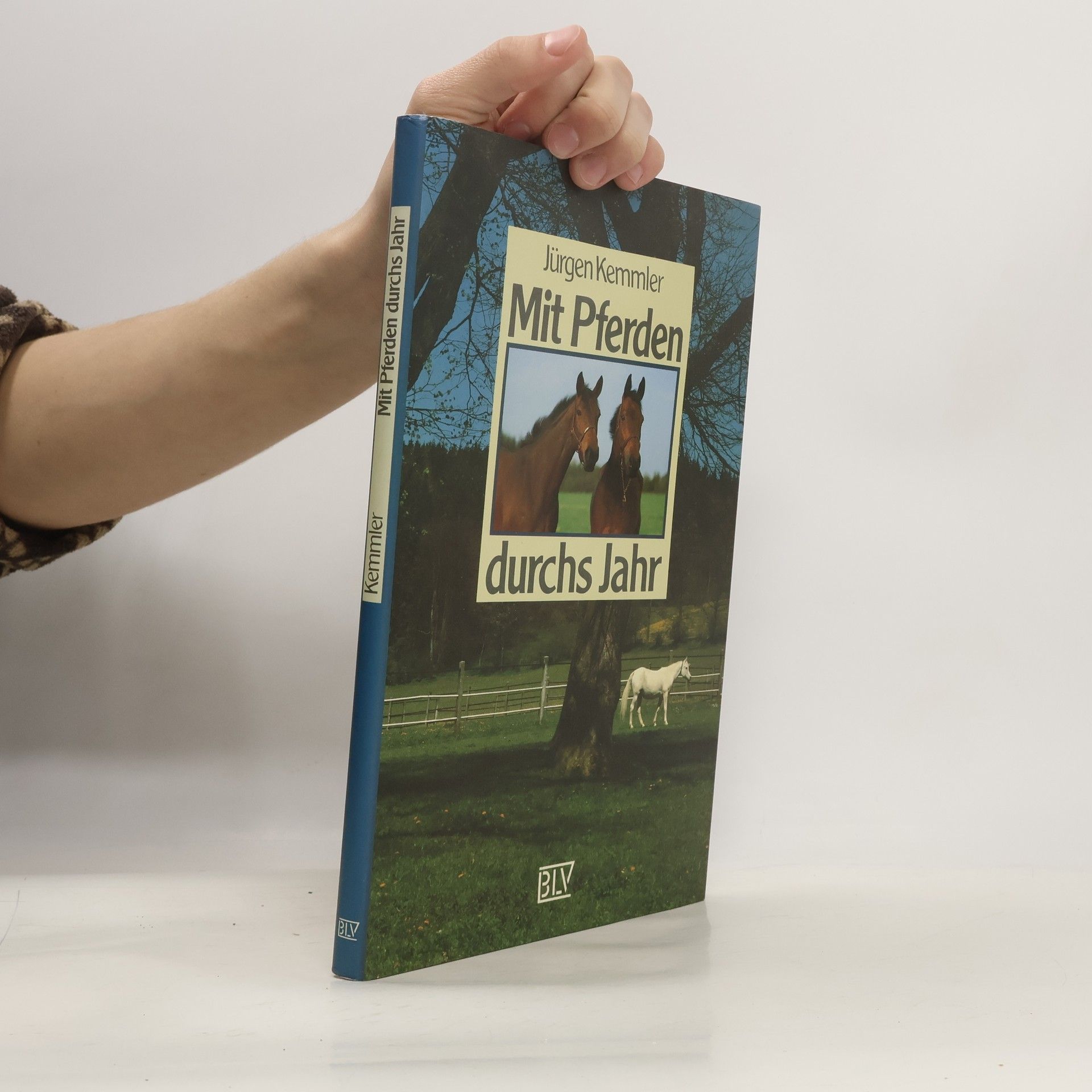 Mit Pferden durchs Jahr