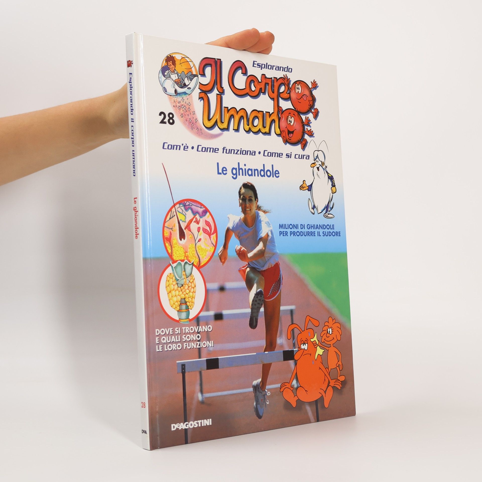 Kolektiv autorů Esplorando il Corpo Umano 28