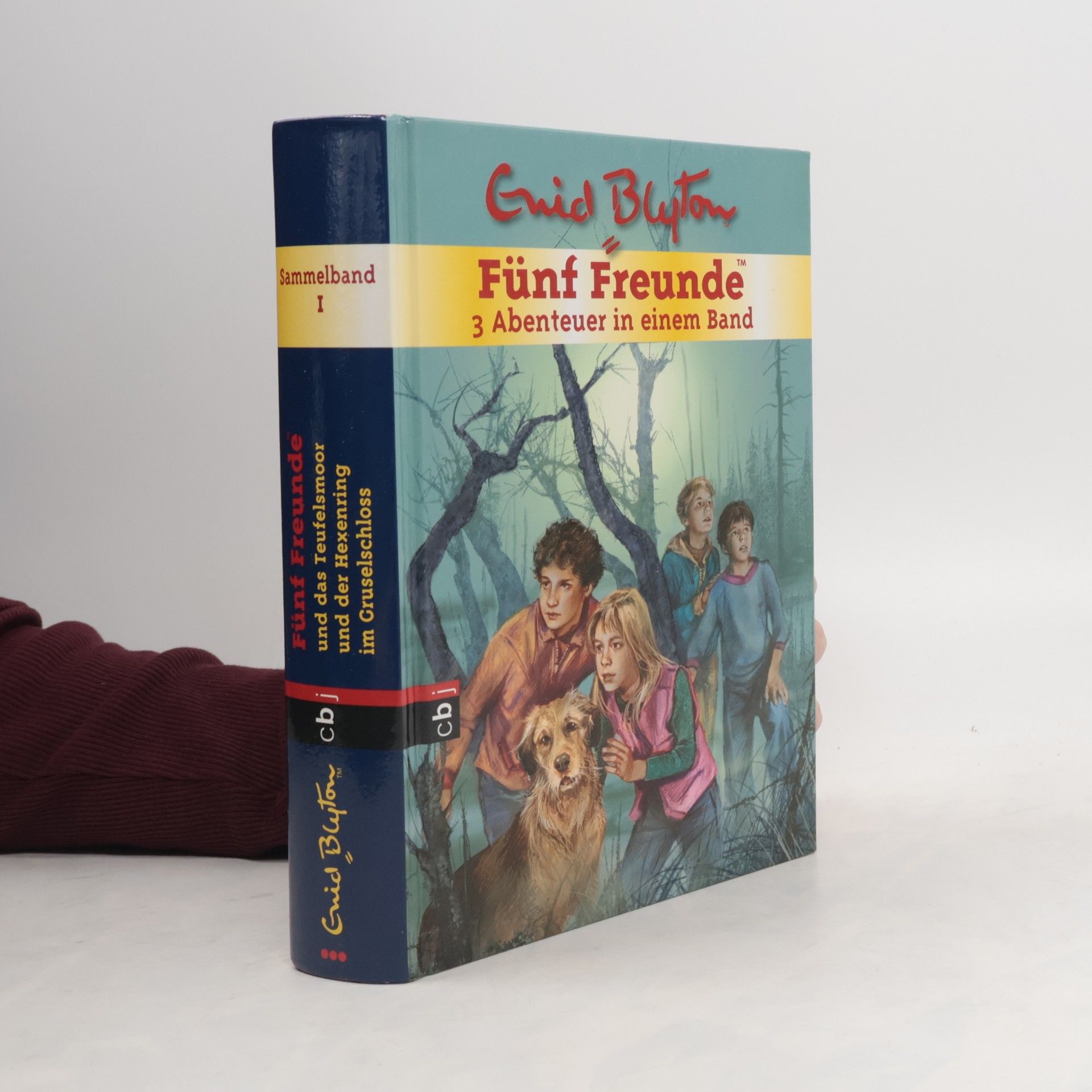 Enid Blyton Sammelband 1. Fünf Freunde. 3 Abenteuer in einem Band
