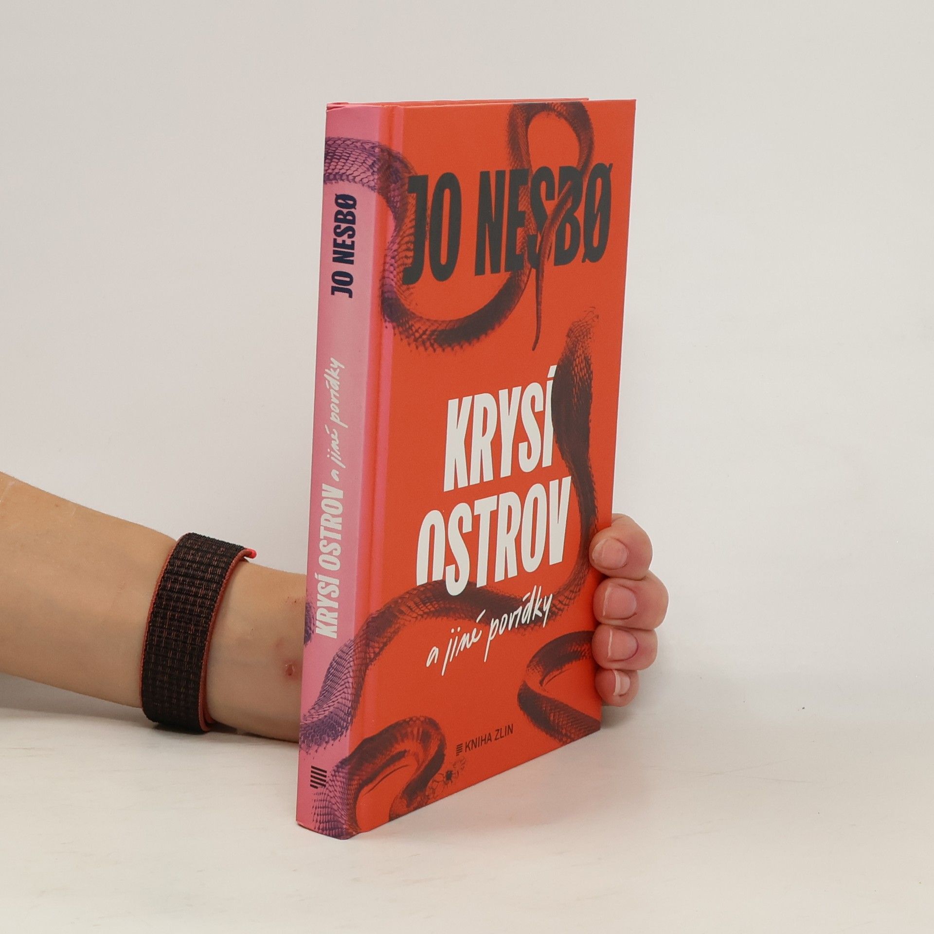 Jo Nesbø Krysí ostrov a jiné povídky
