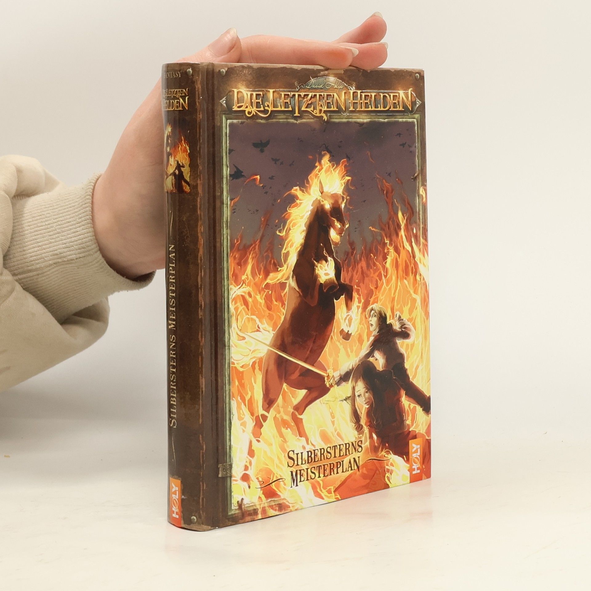 David Holy Die letzten Helden