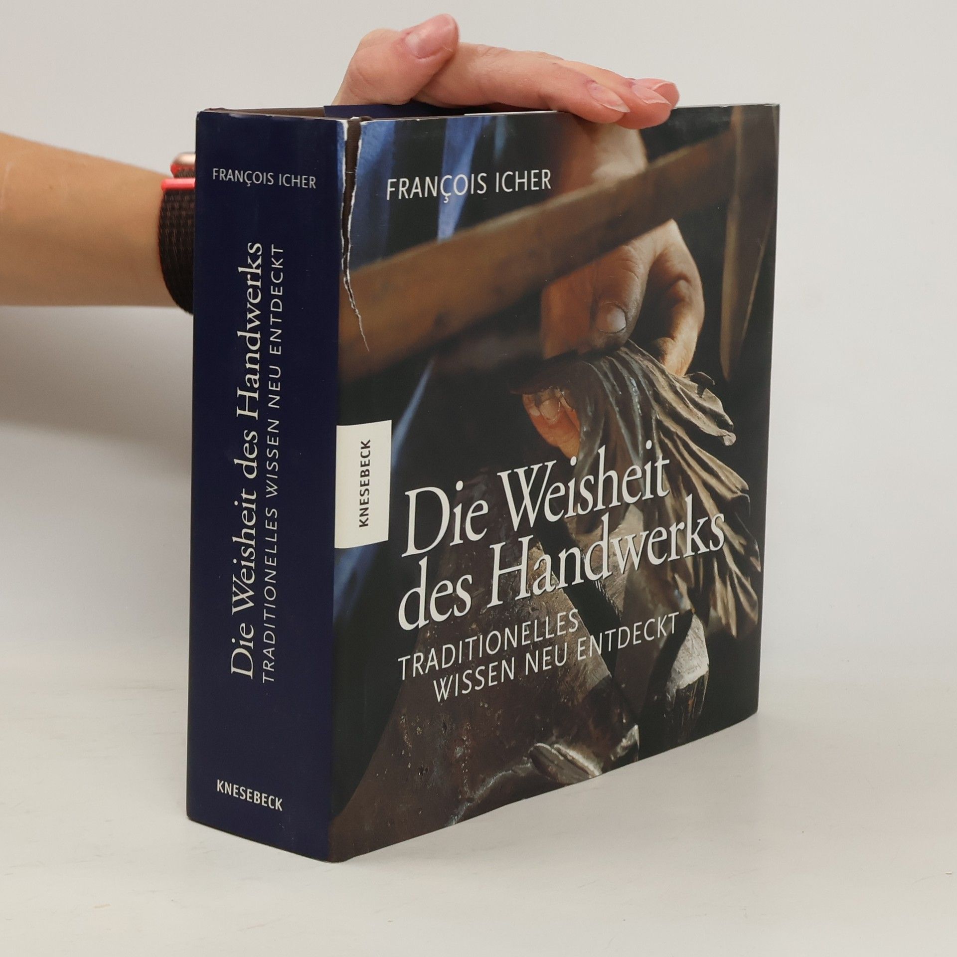 François Icher Die Weisheit des Handwerks
