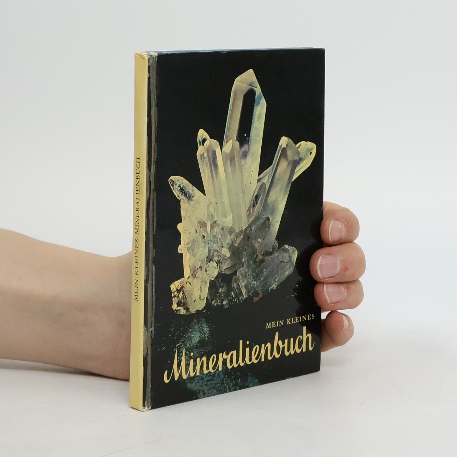 Autorenkollektiv Mein kleines Mineralienbuch