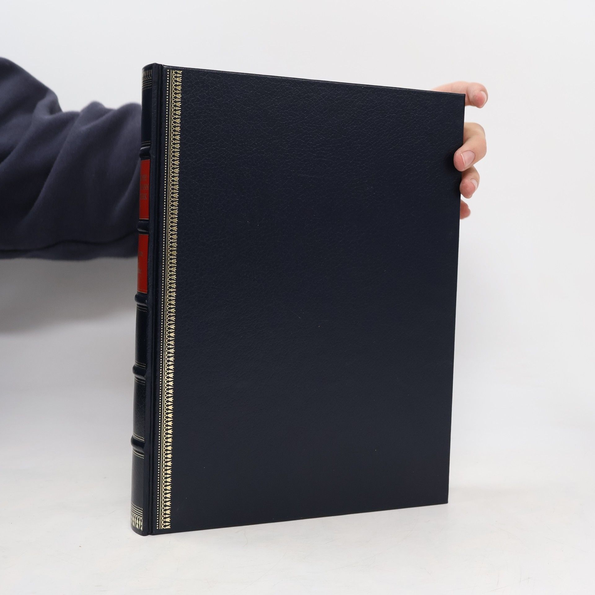 Spektrum der Literatur