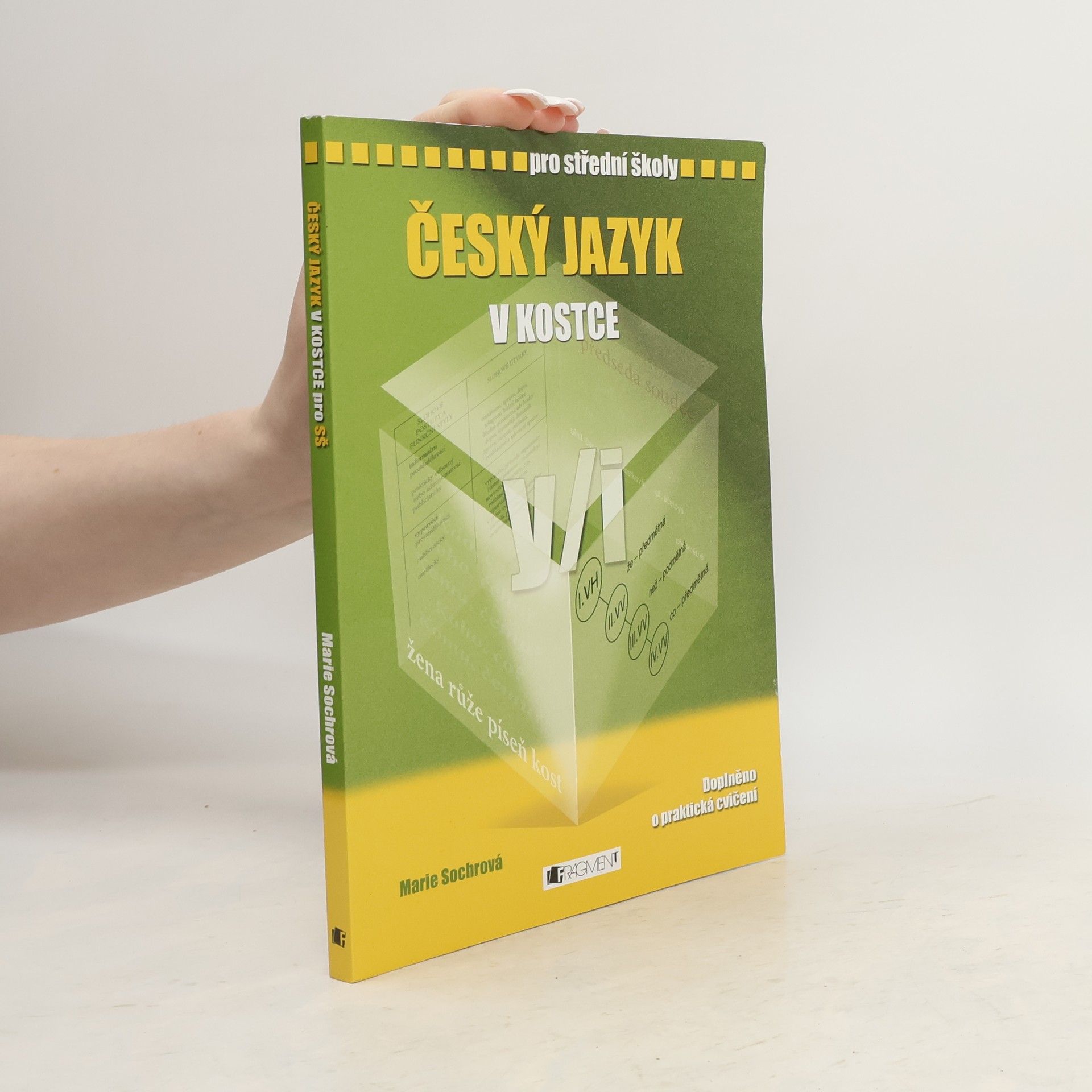 Marie Sochrová Český jazyk v kostce : pro střední školy