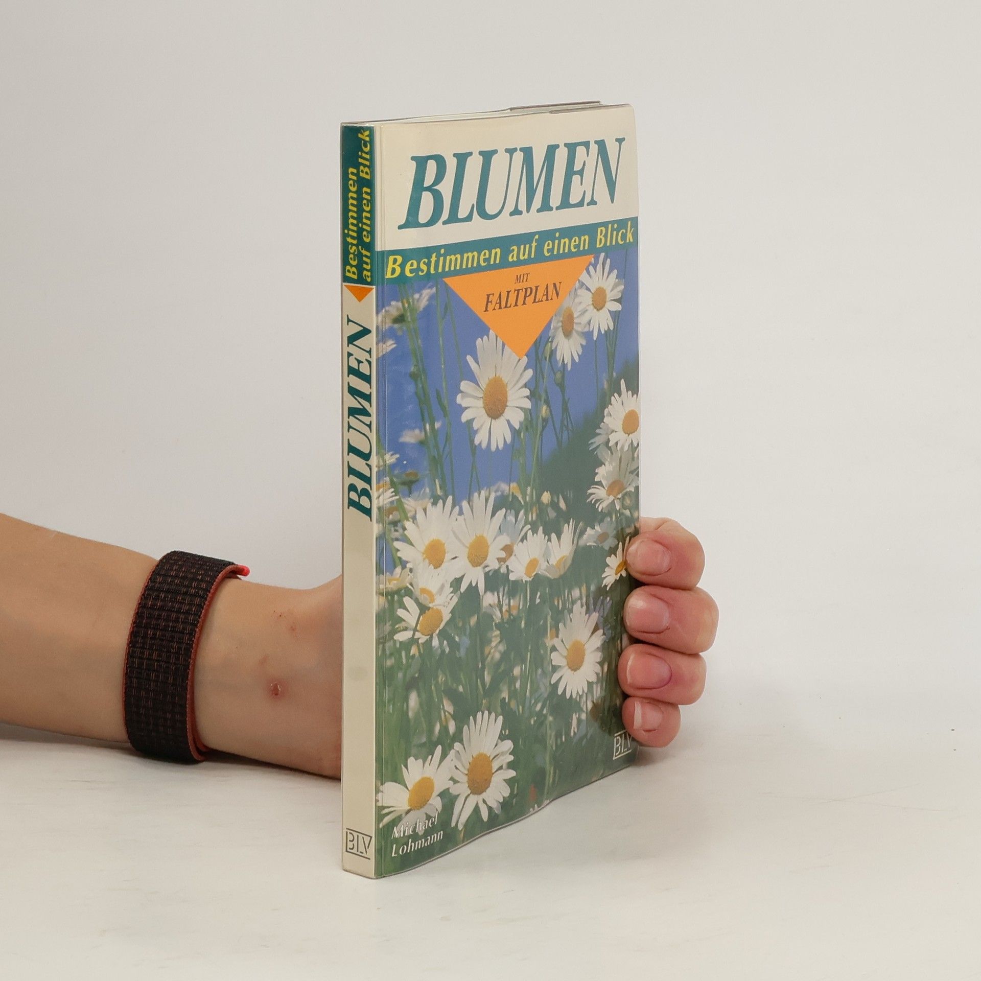 Michael Lohmann Blumen