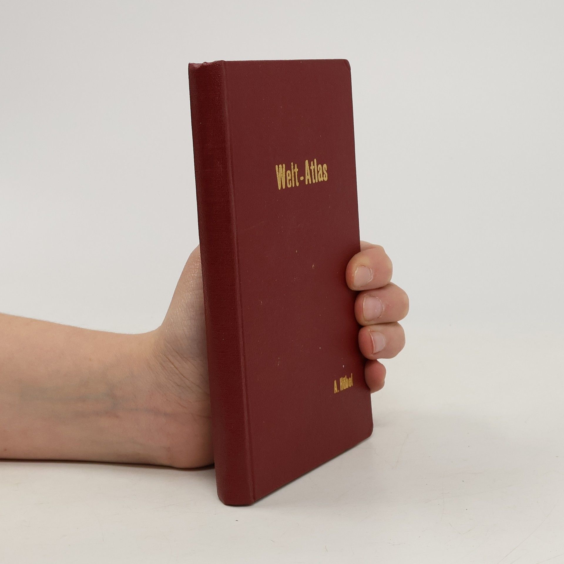 Friedrich Tamß Taschenatlas der Ganze Welt