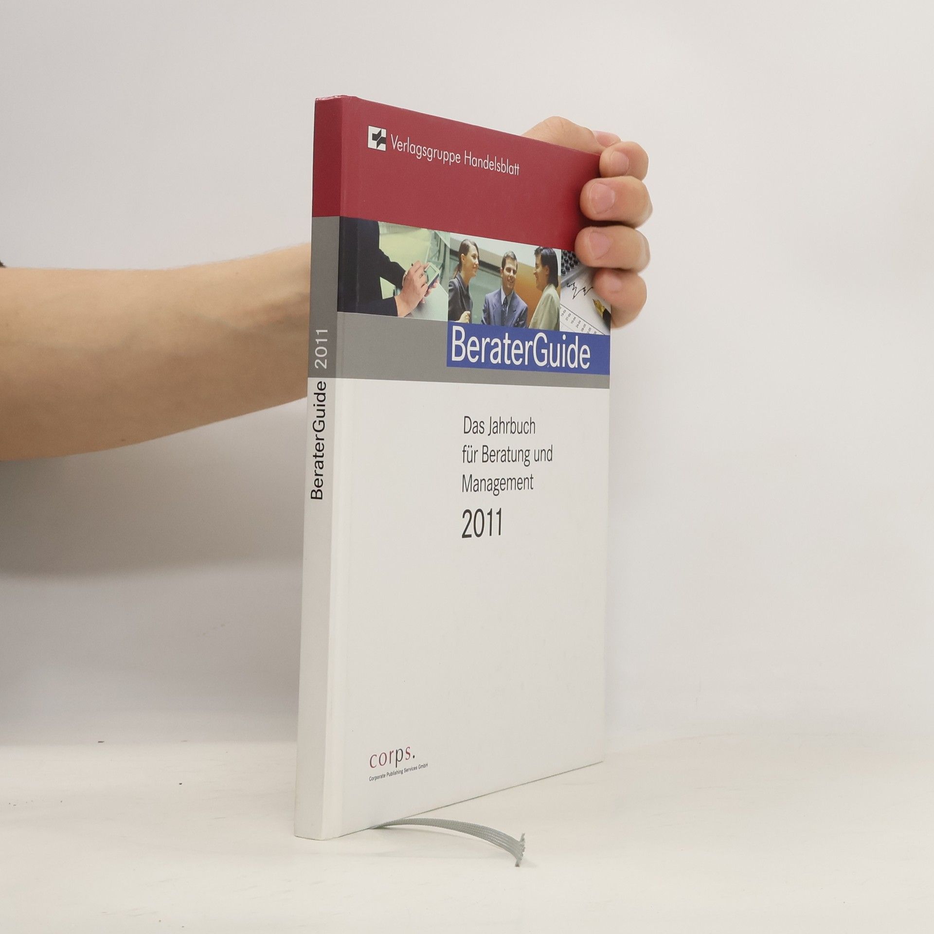 BeraterGuide