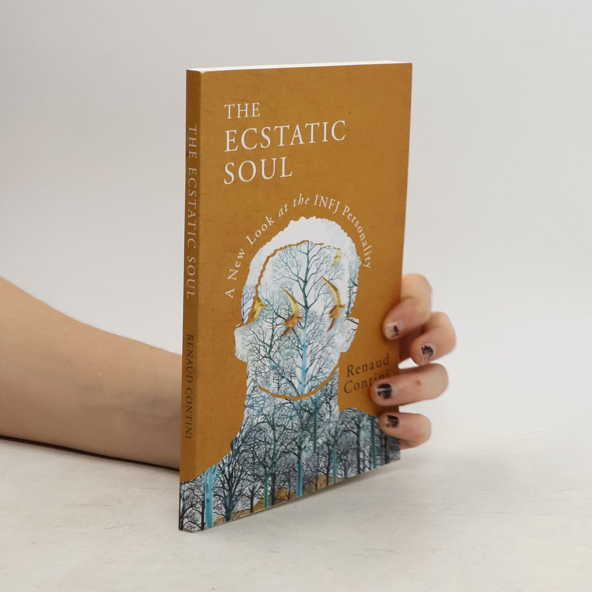 Renaud Contini The Ecstatic Soul