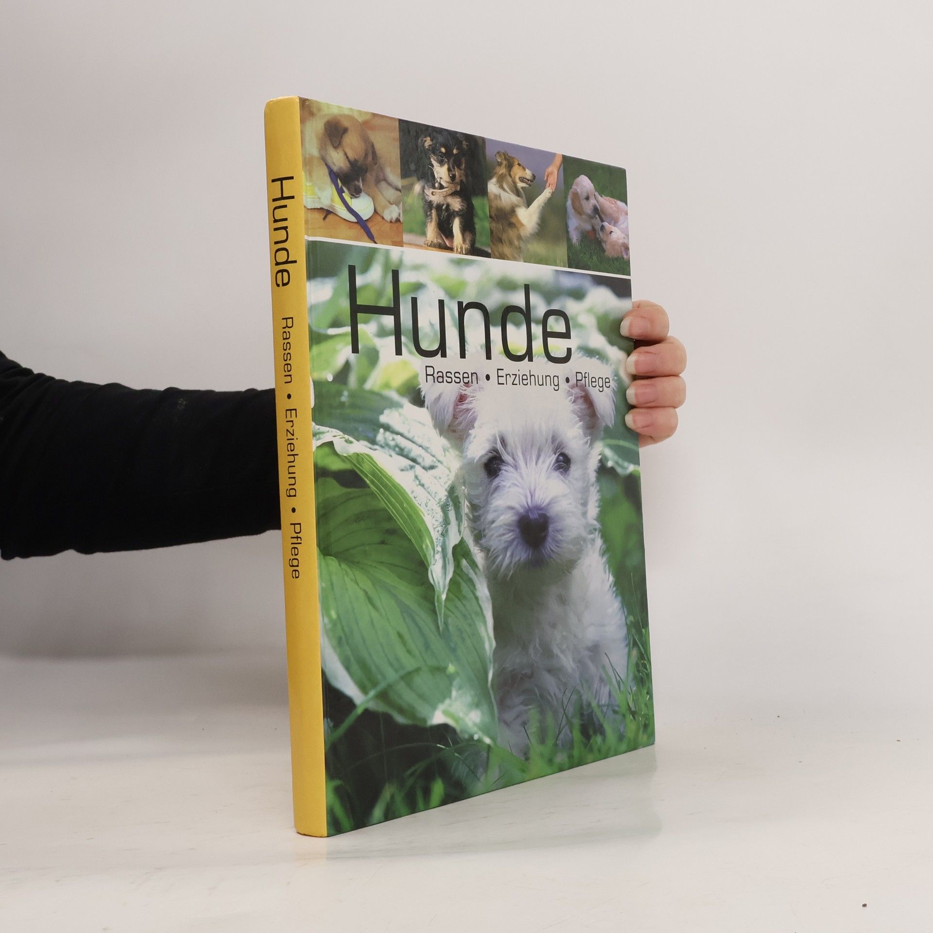 Barbara Willms Hunde