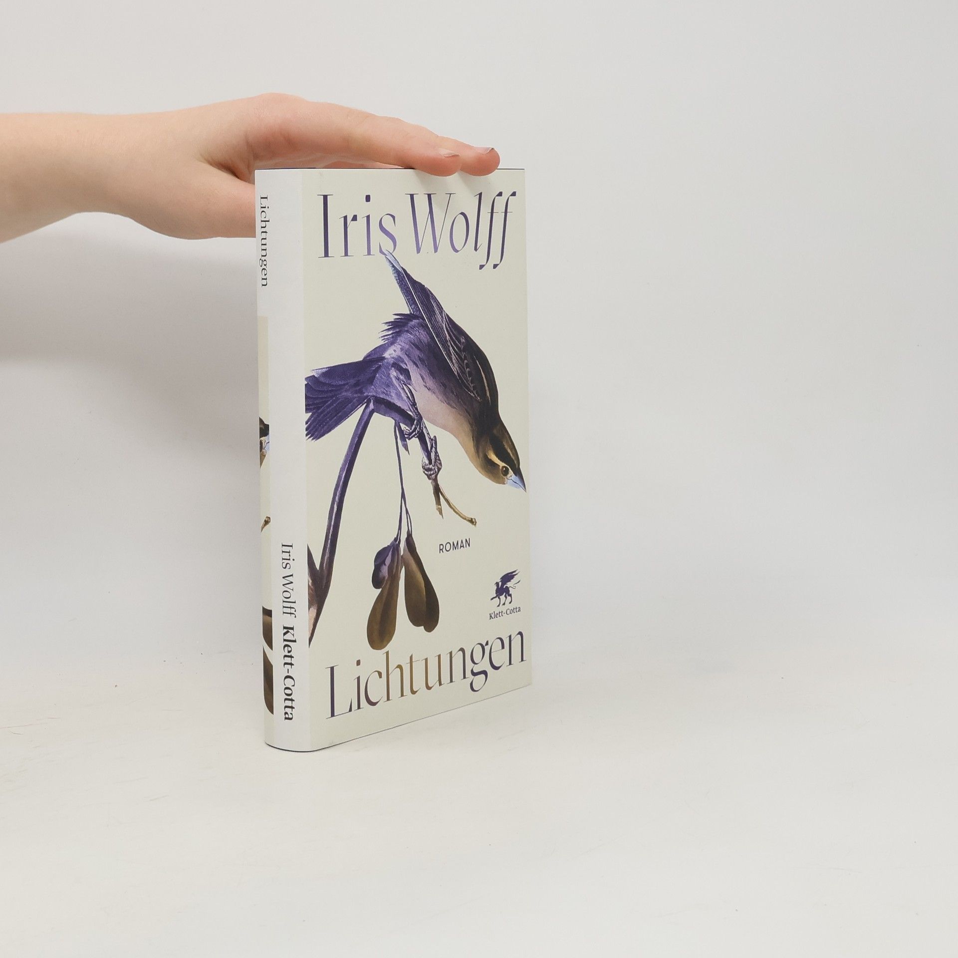 Iris Wolff Lichtungen