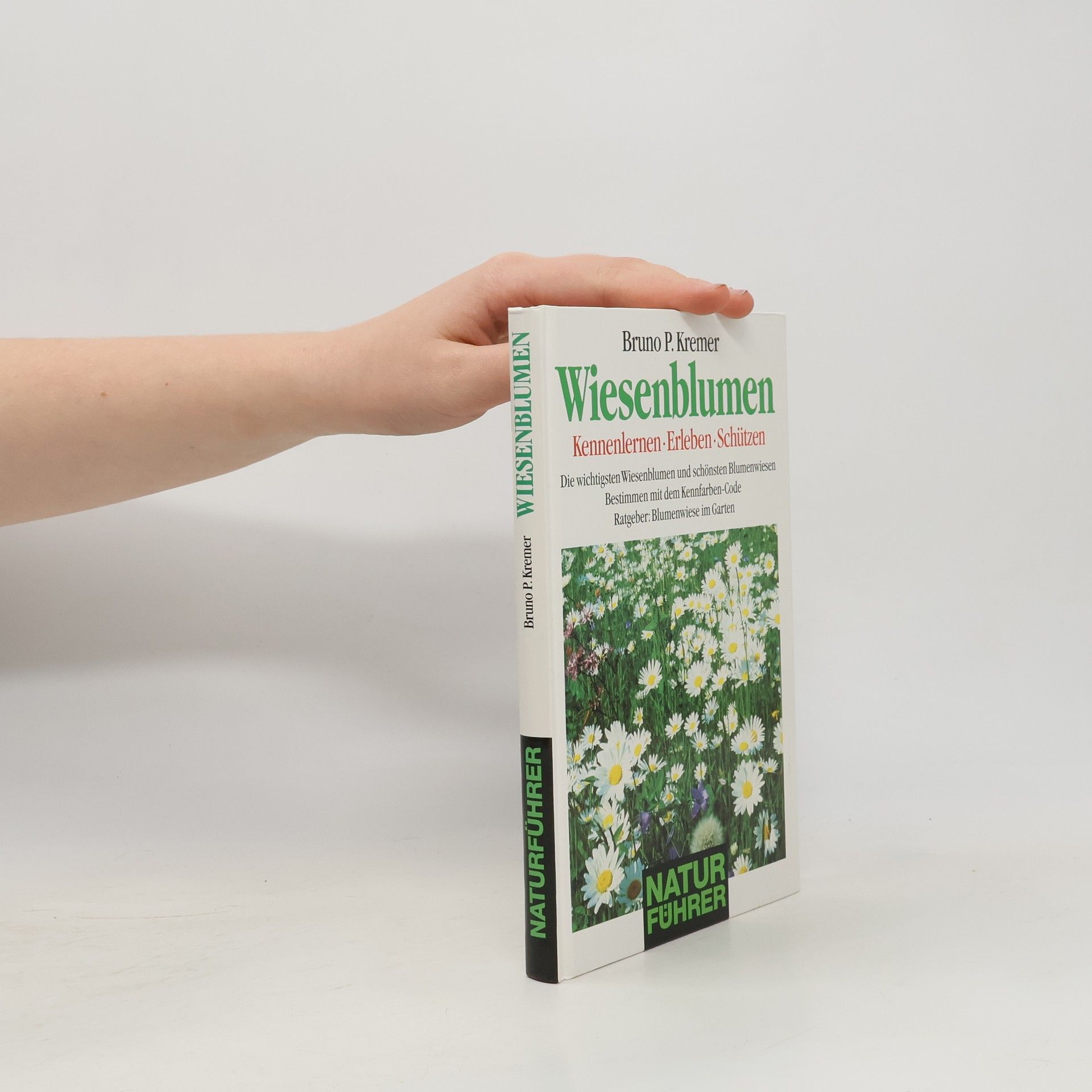 Bruno P. Kremer Wiesenblumen