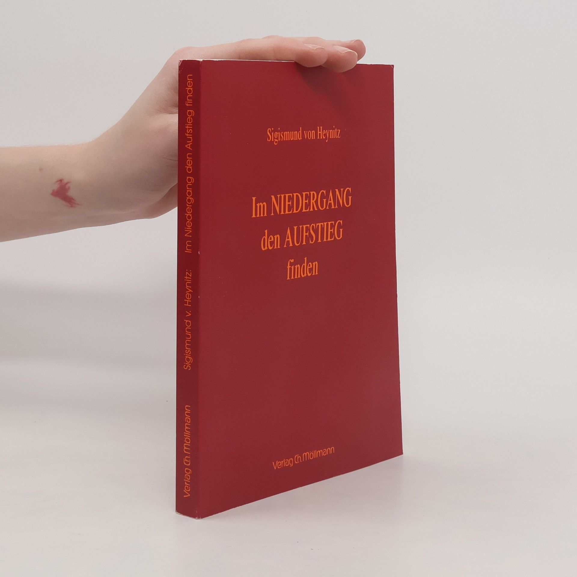 Sigismund von Heynitz Im Niedergang den Aufstieg finden