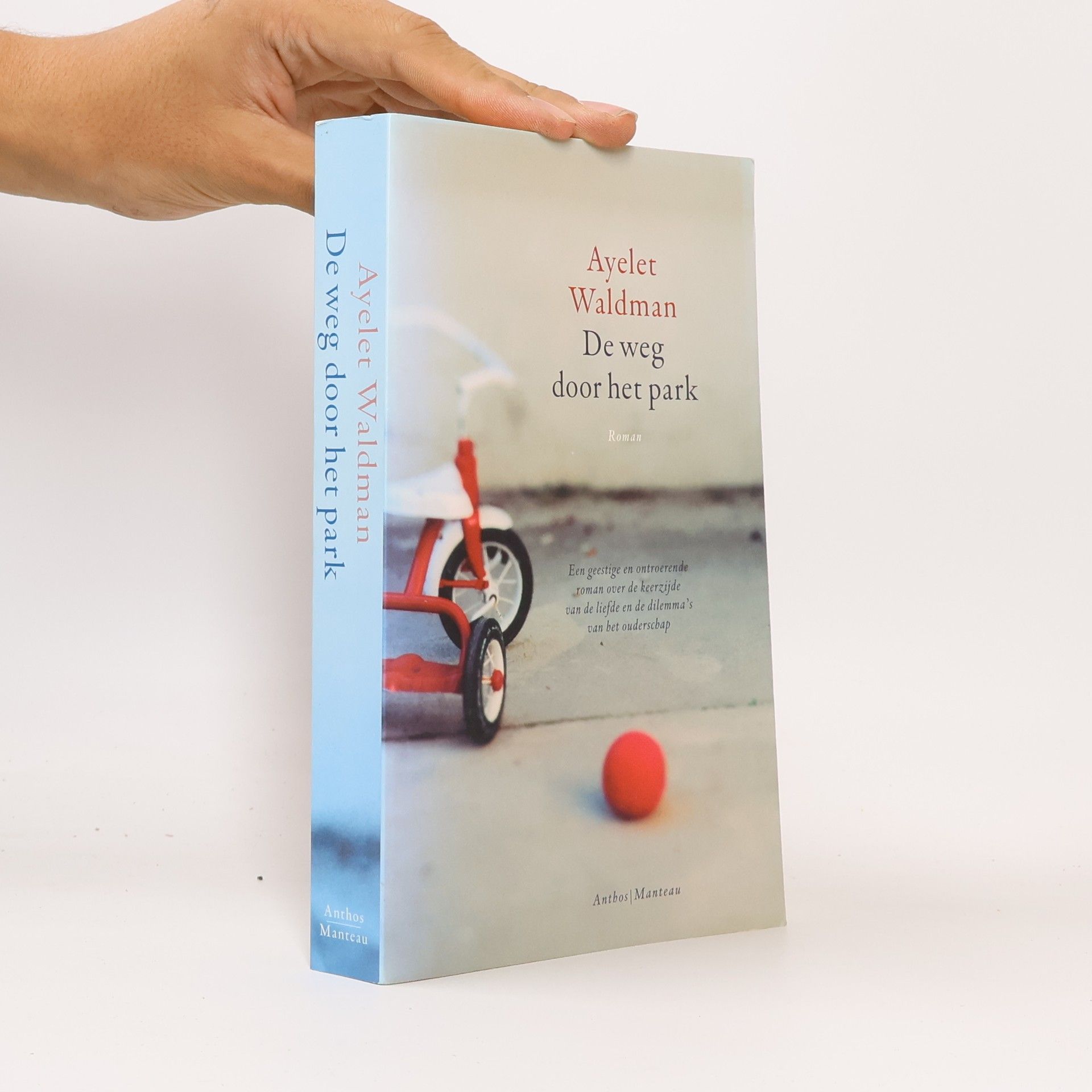 Ayelet Waldman De weg door het park