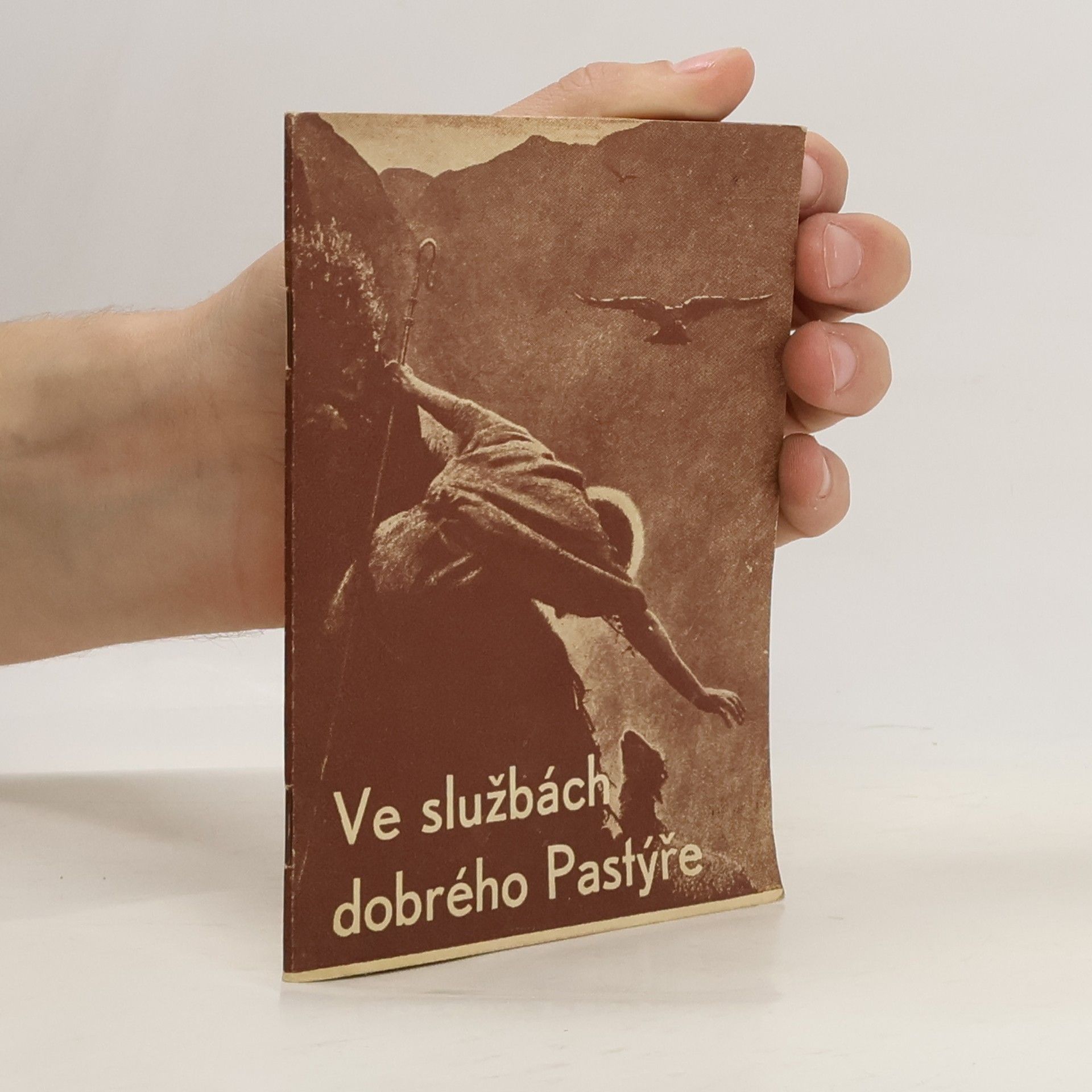 Autores varios Ve službách dobrého Pastýře