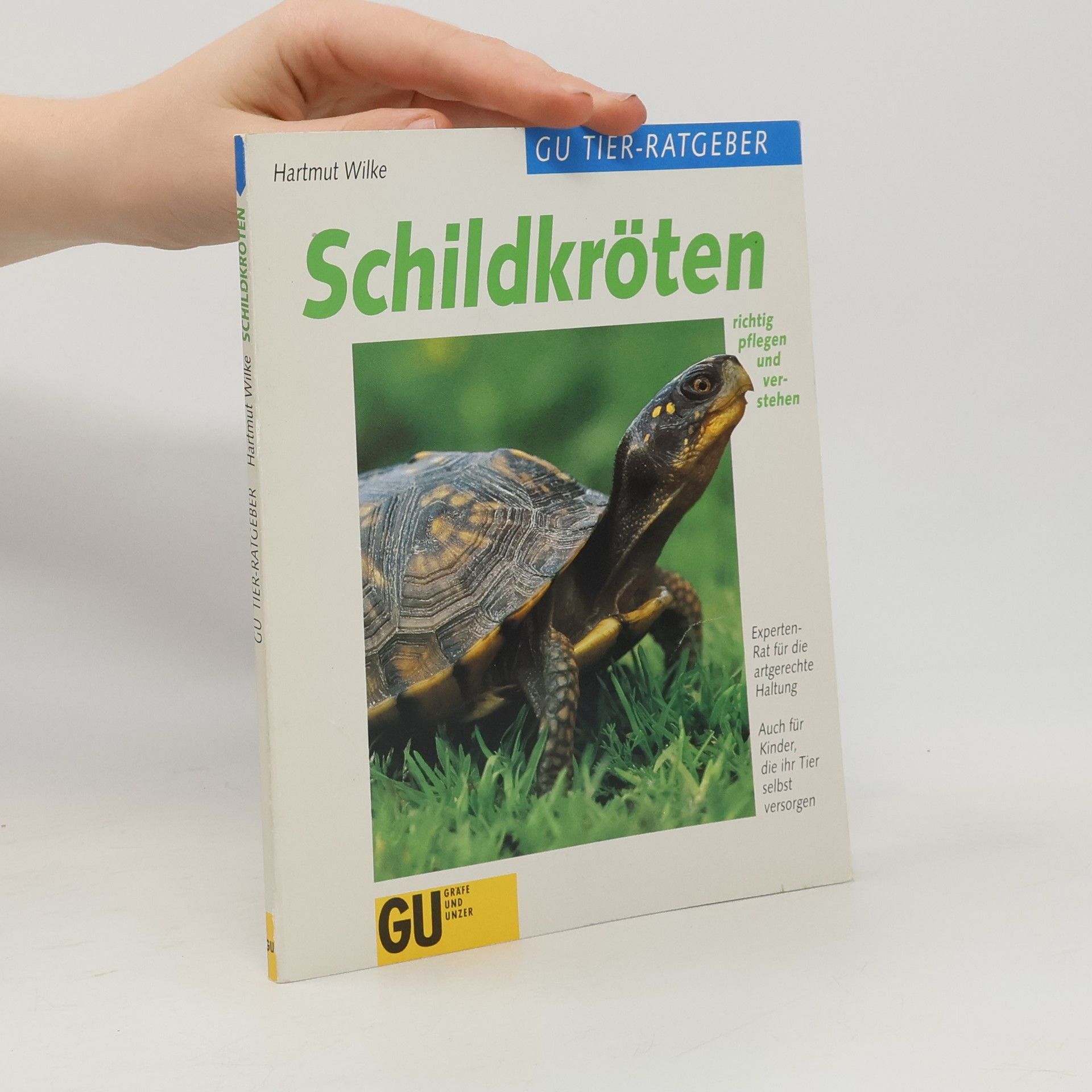 Schildkröten richtig pflegen und verstehen