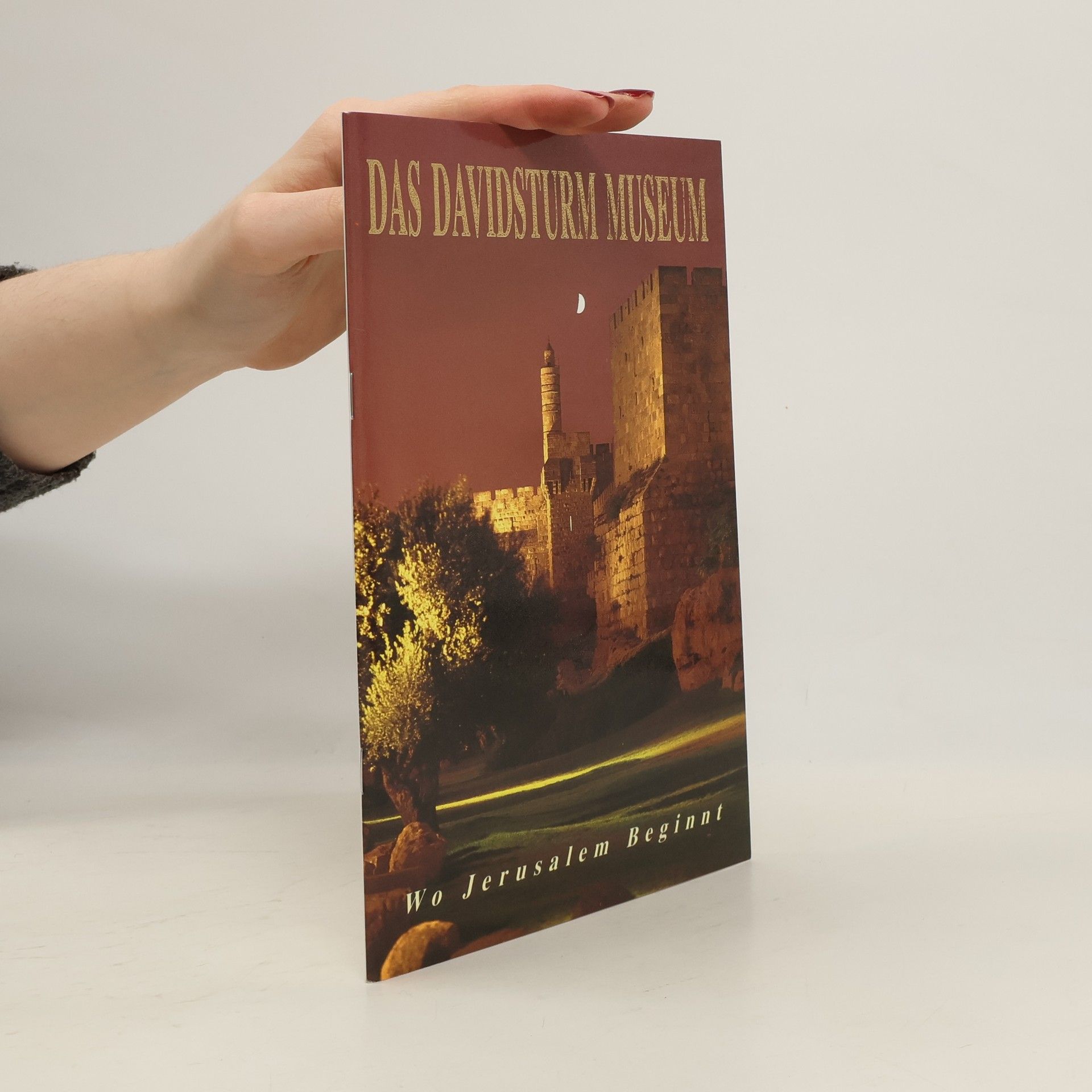Auteurscollectief Das Davidsturm Museum