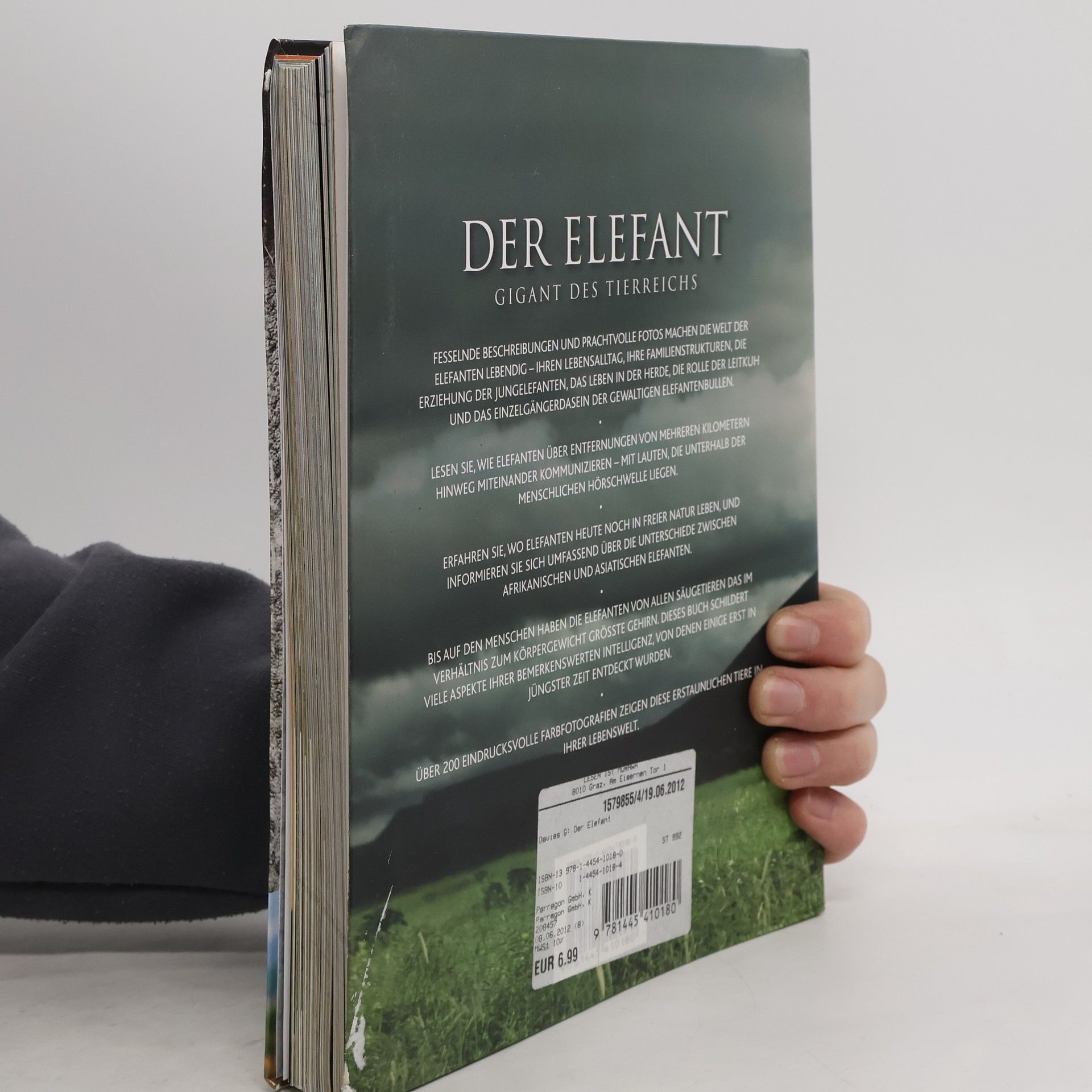 Gill Davies Der Elefant
