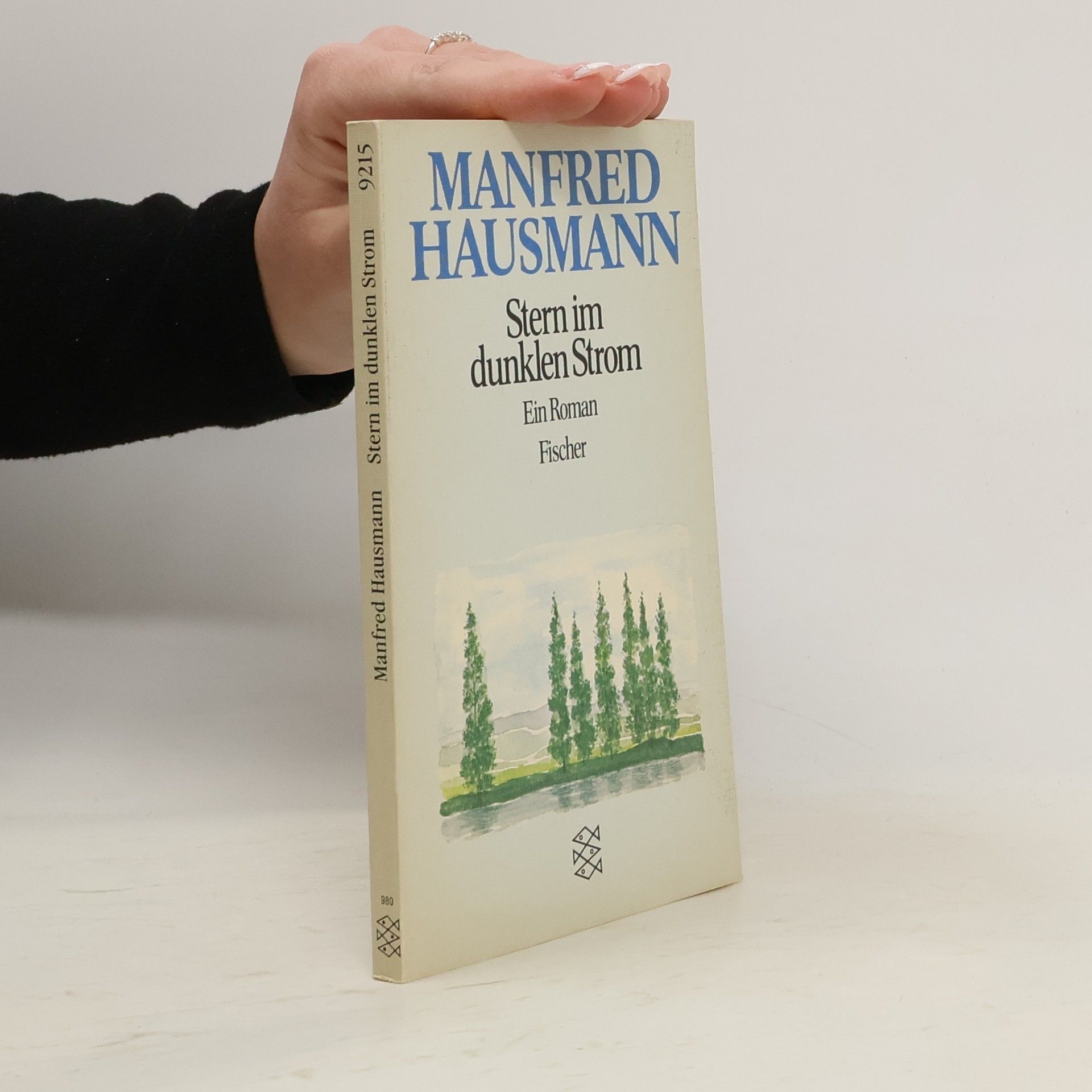 Manfred Hausmann Stern im dunklen Strom