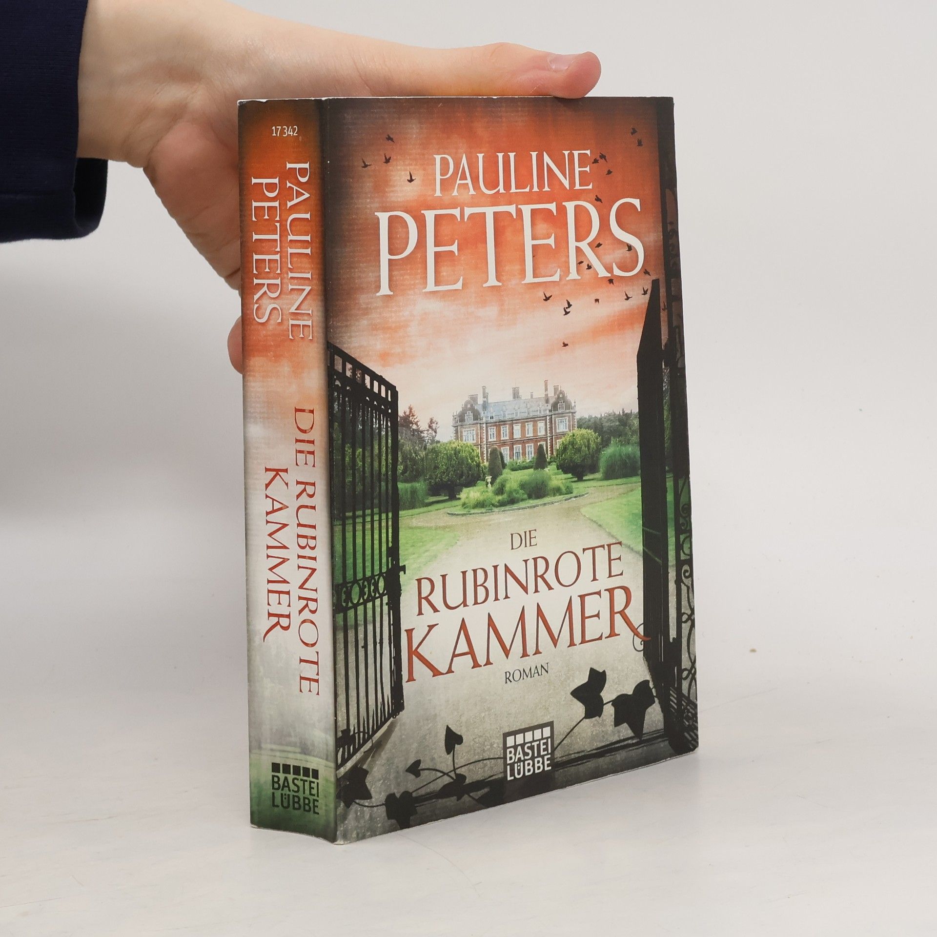 Pauline Peters Die rubinrote Kammer