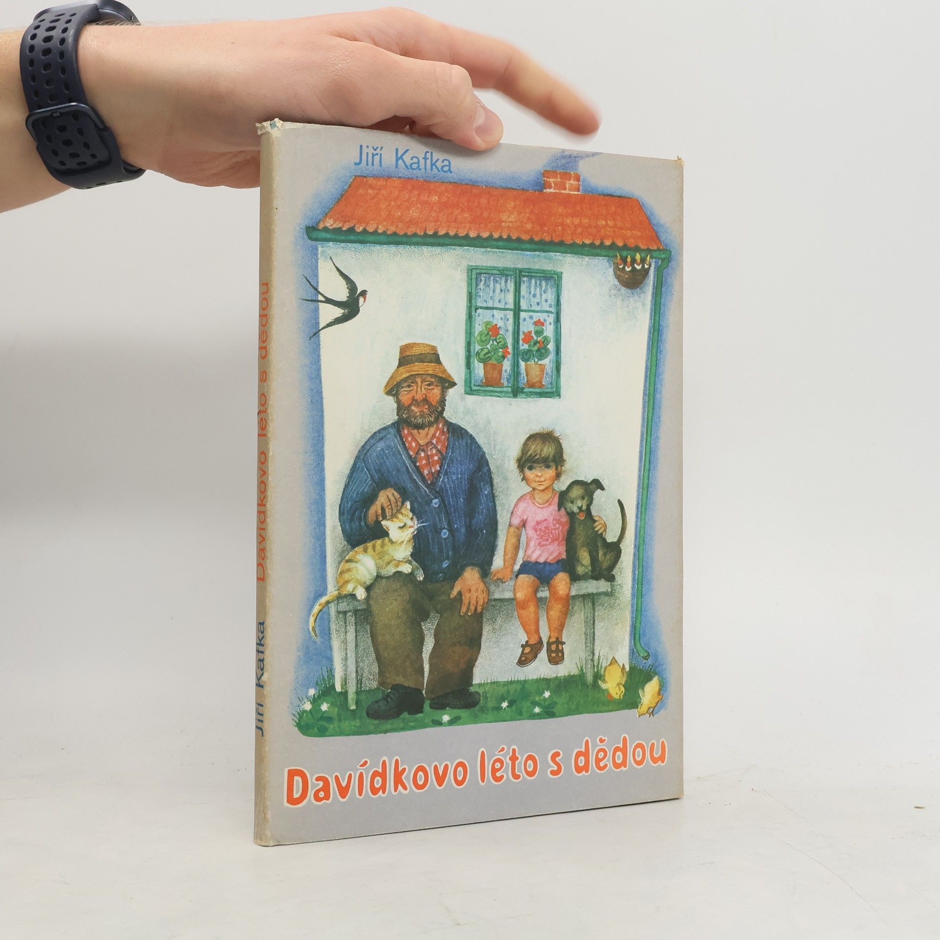 Davídkovo léto s dědou