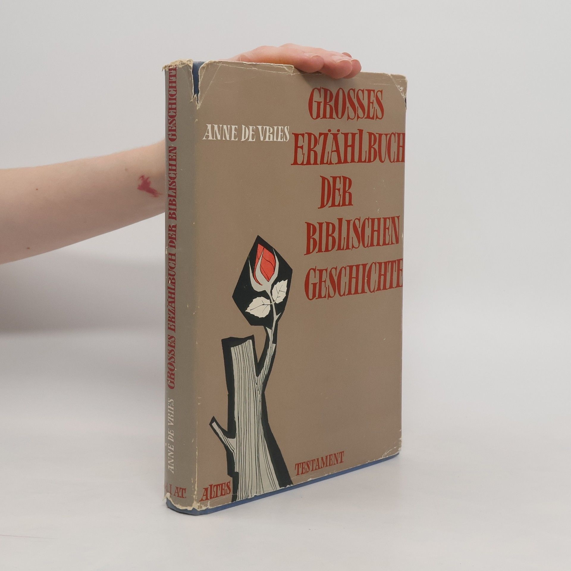 Anne de Vries Grosses Erzählbuch der Biblischen Geschichte