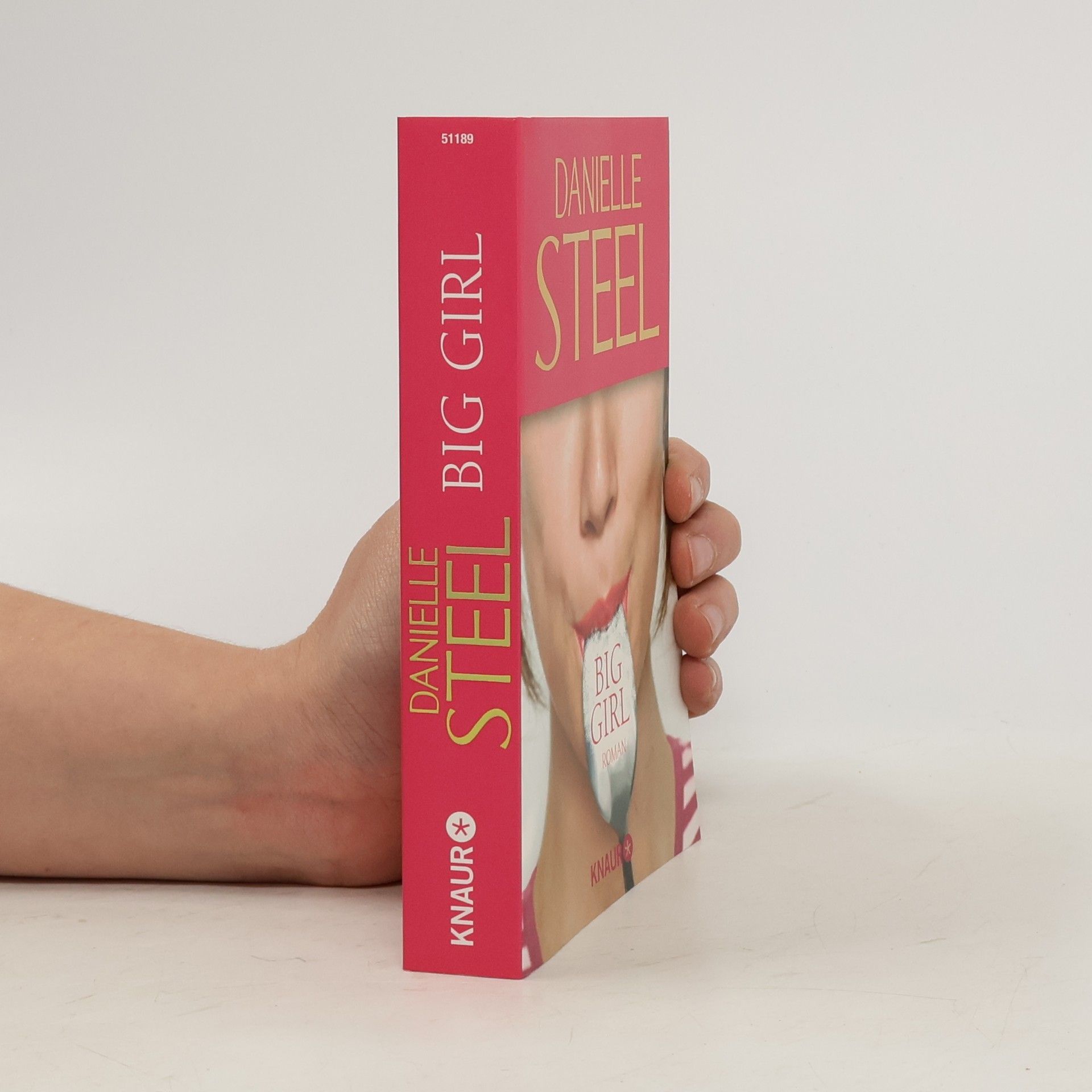 Danielle Steel Big Girl