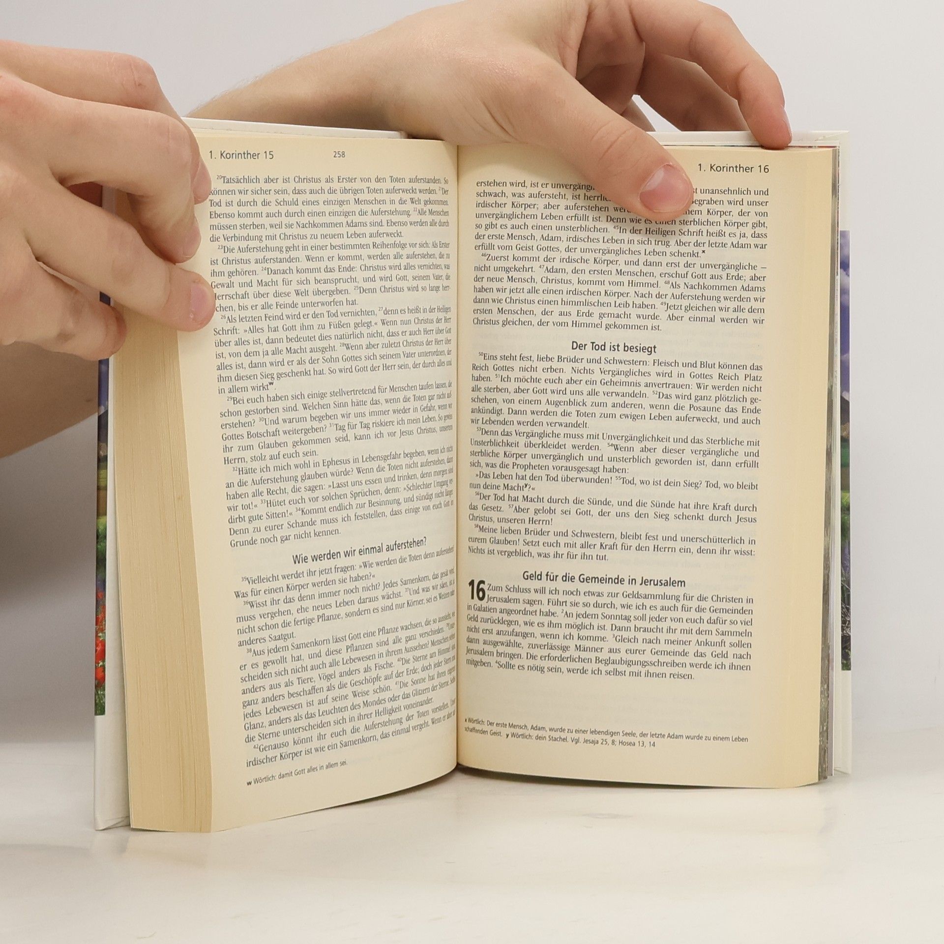 Hoffnung für alle: Wer sucht, wird finden - Das Neue Testament